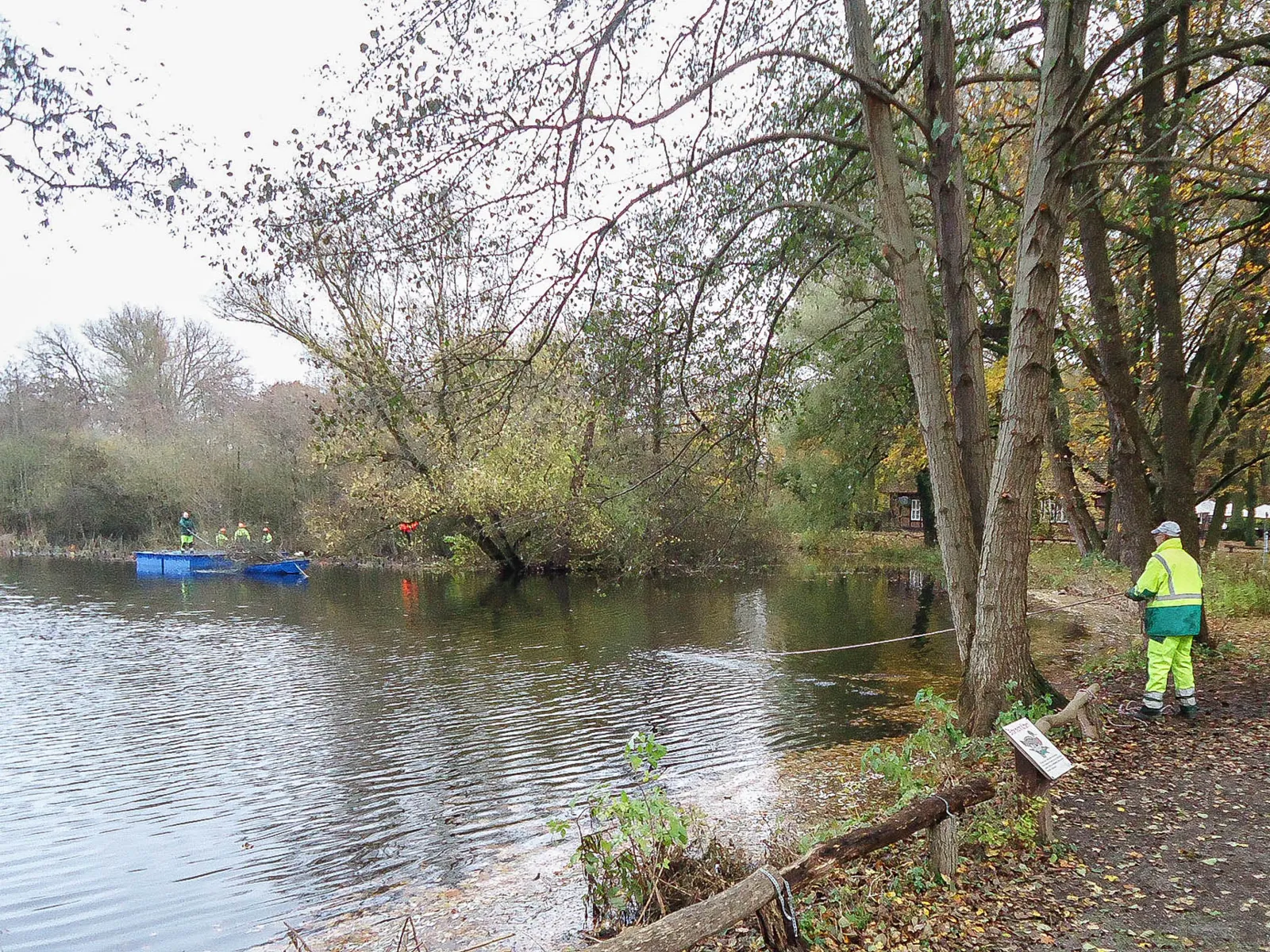 Menschen bei Arbeiten an und in einem Teich.