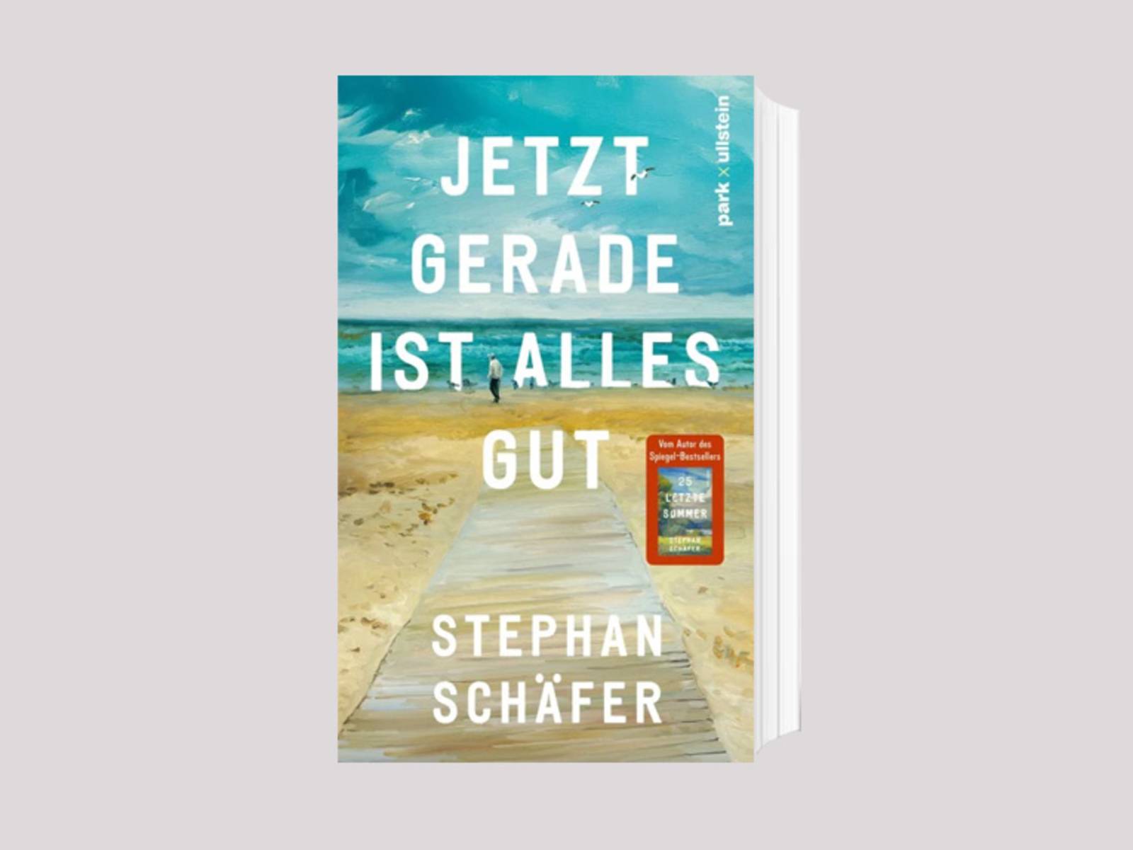 Das Cover zum Roman &bdquo;Jetzt gerade ist alle gut&ldquo; von Stephan Sch&auml;fer