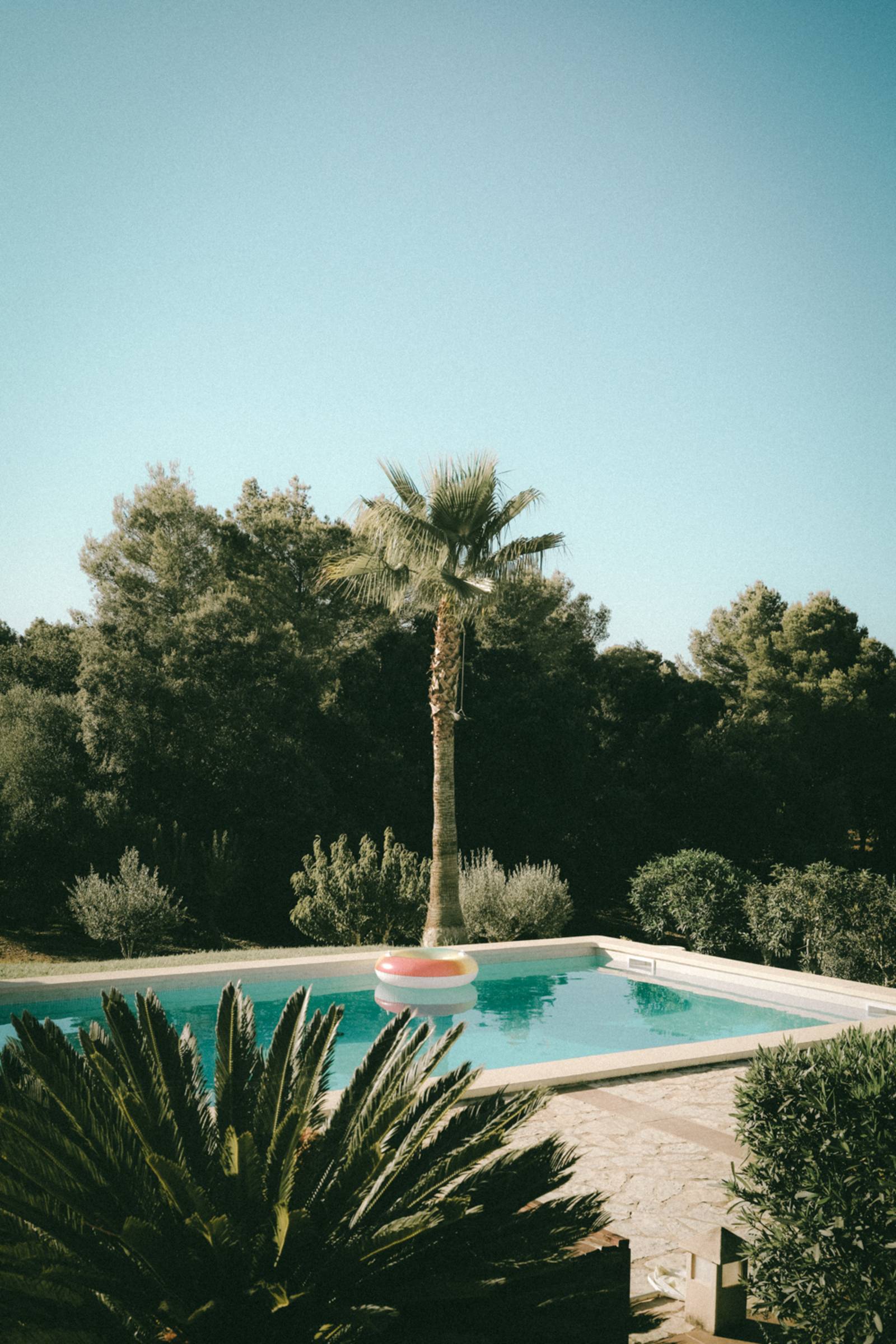 Zu sehen ist ein Foto von Alexander Perbone: Eine Poollandschaft voller Pflanzen.