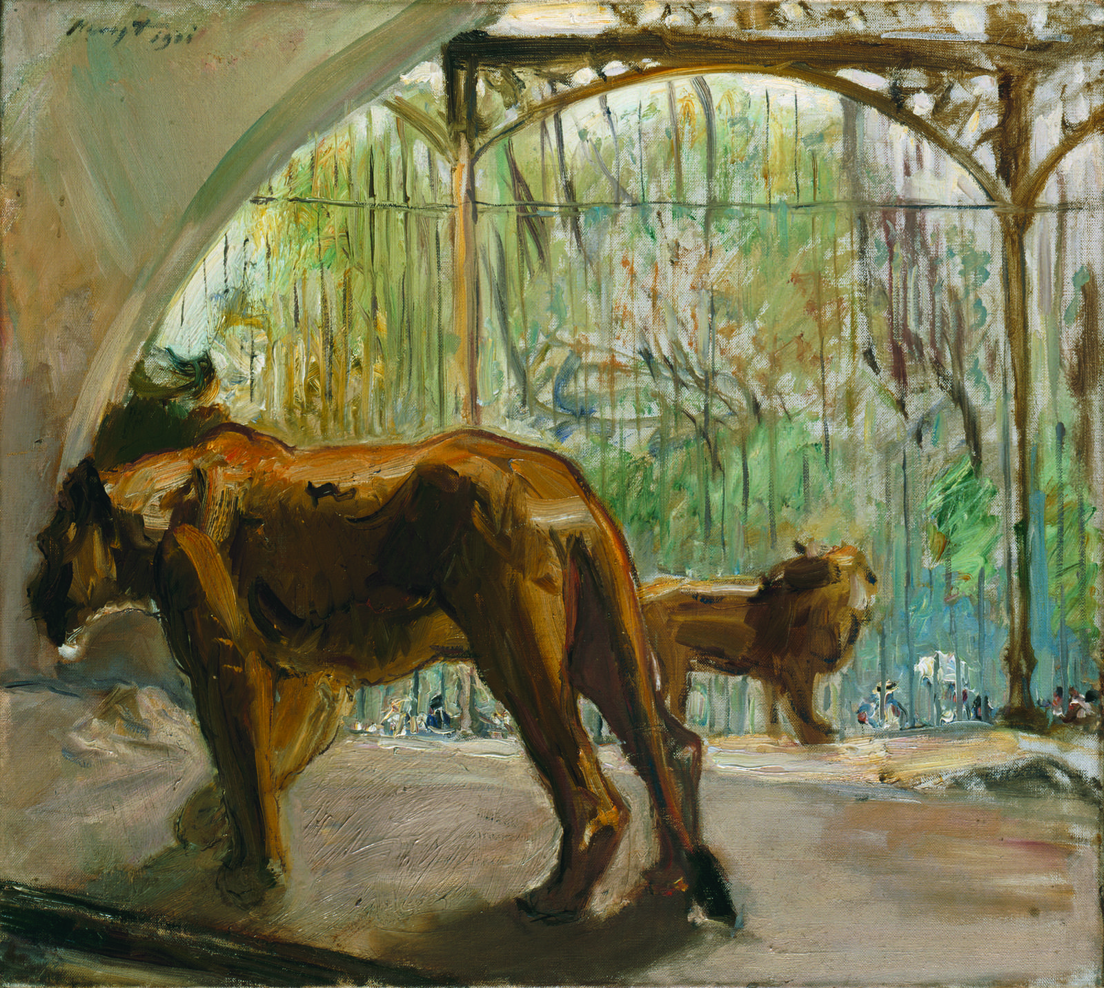 Zu sehen ist ein &Ouml;lgem&auml;lde auf Leinwand eines schreitenden L&ouml;wen im Zoo, gemalt vom Max Slevogt.