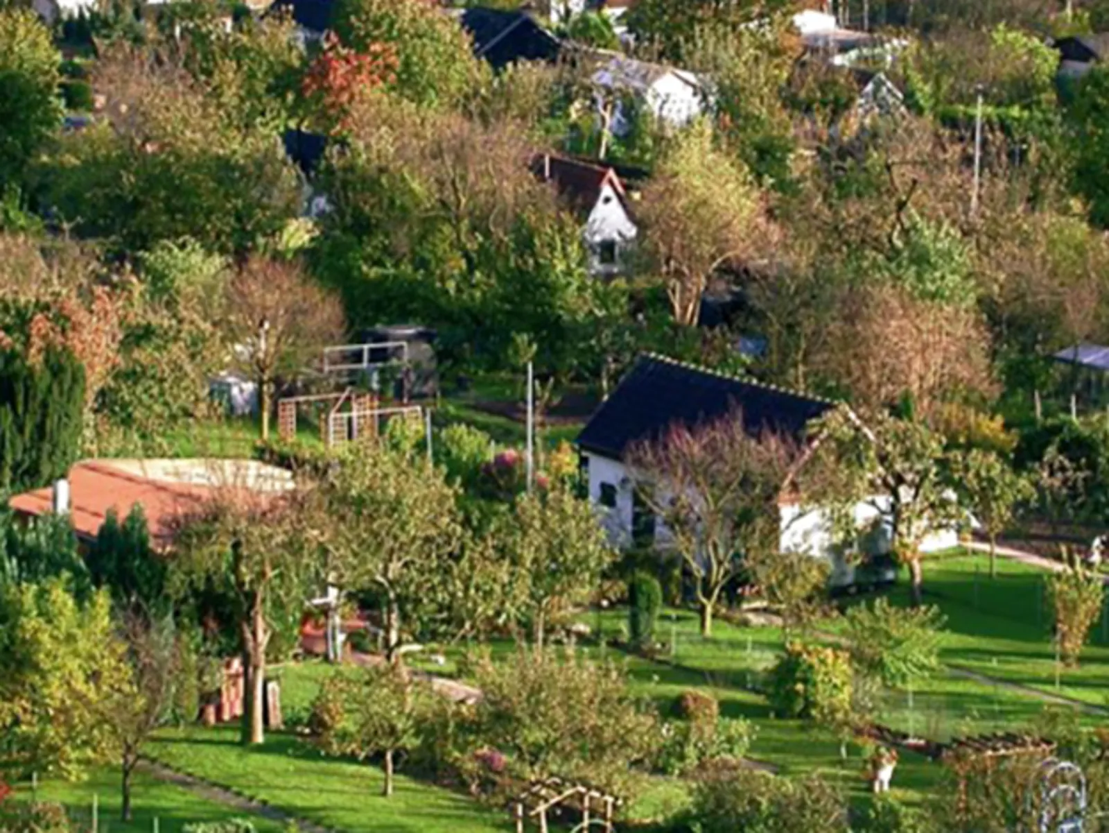 Kleingärten von oben.