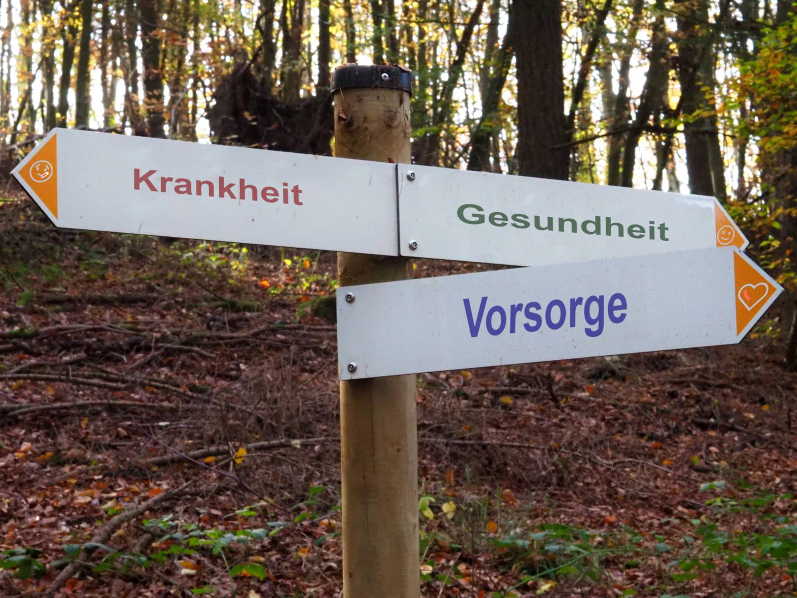 Wegweiser Krankheit, Gesundheit und Vorsorge