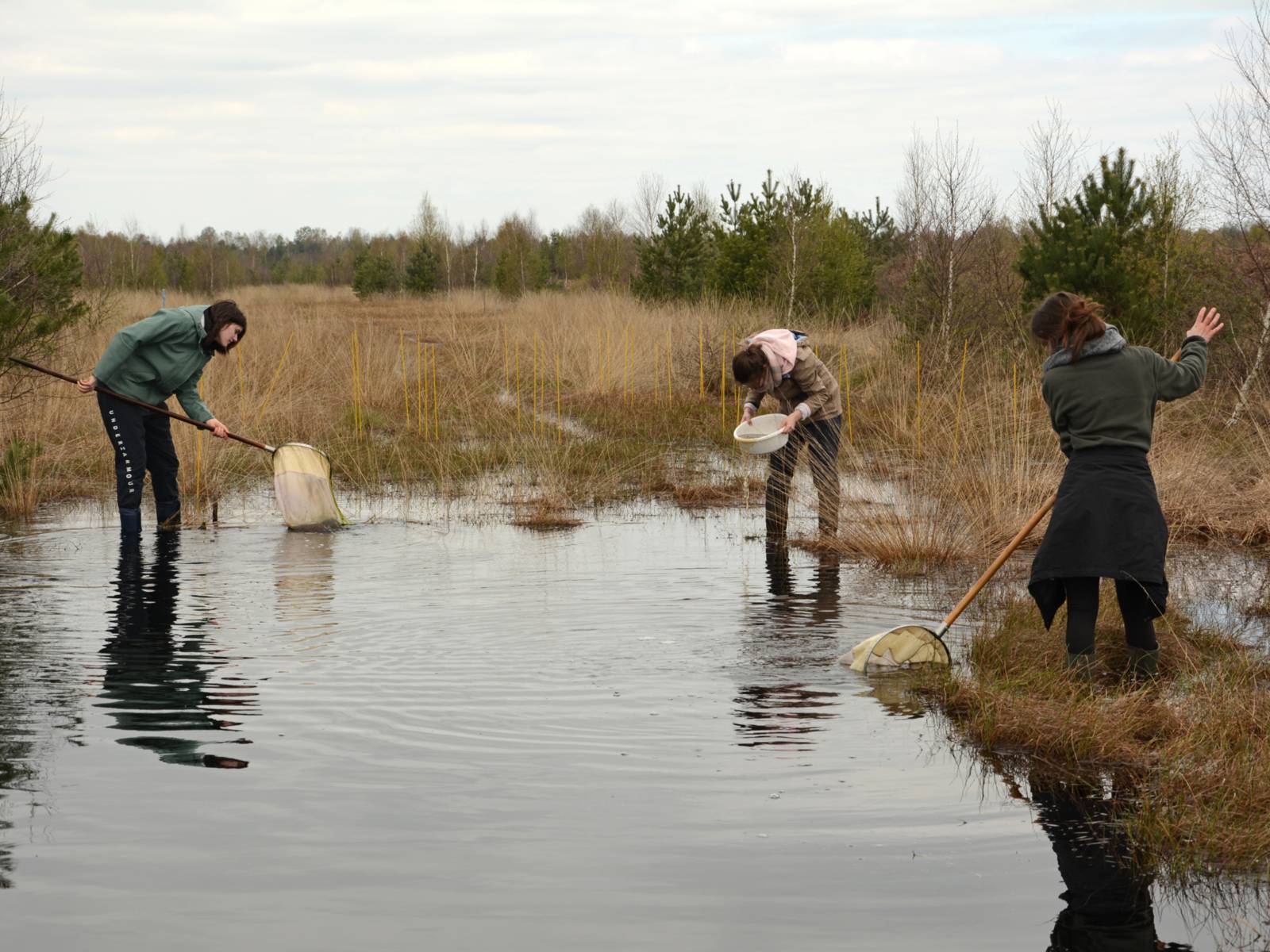 Drei Personen im flachen Moorwasser mit Netzen und Sieben