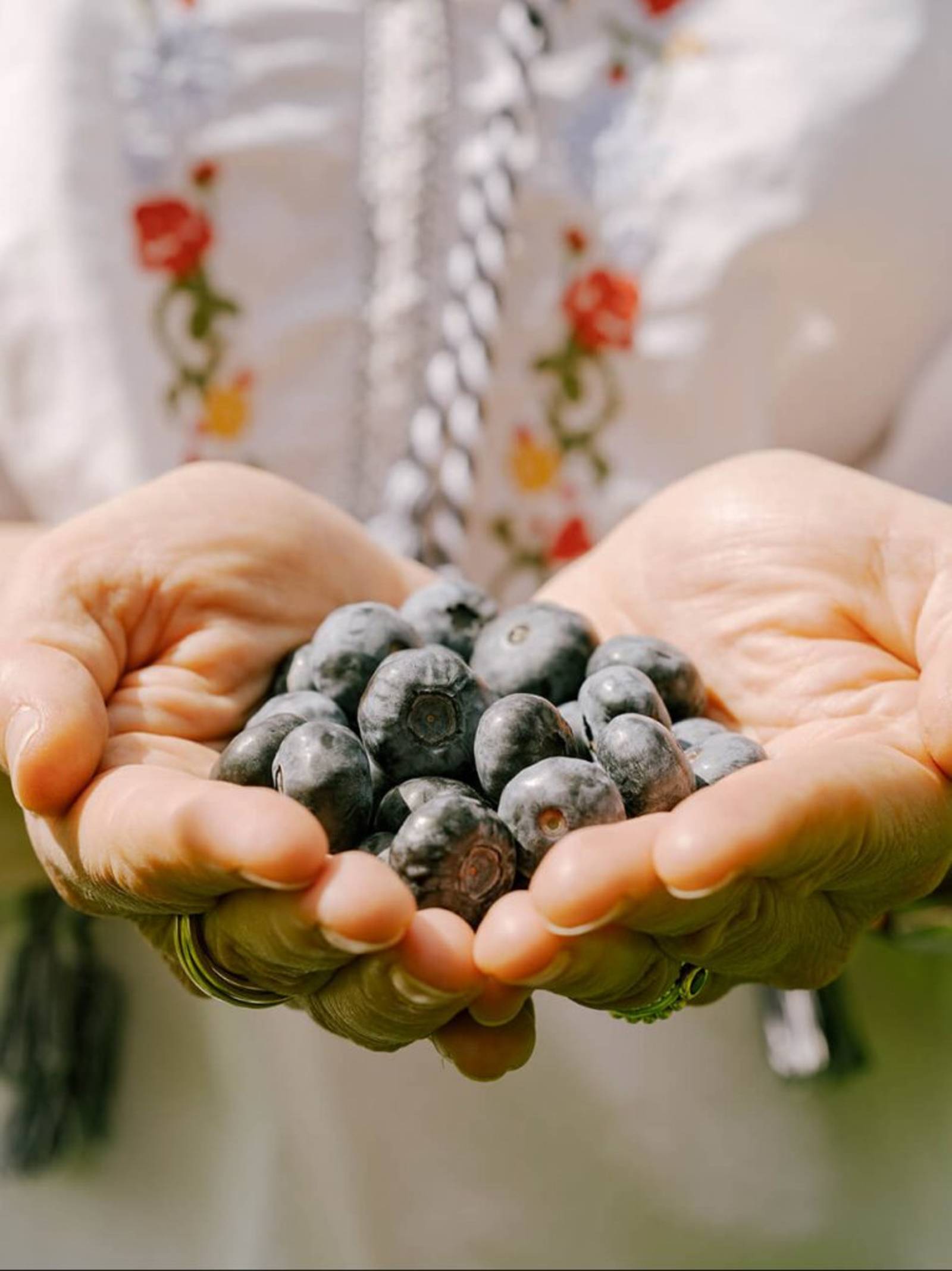 Eine Hand hält Blaubeeren.