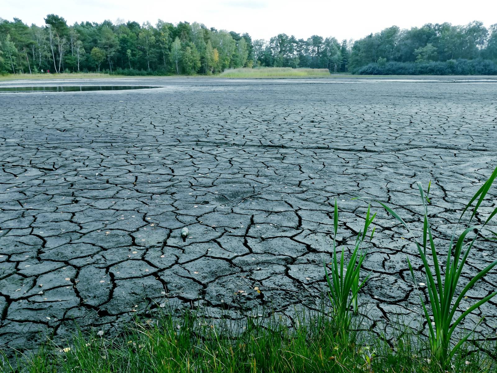 Karte der globalen Regionen