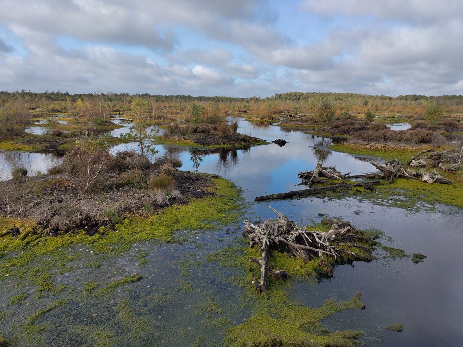 Moorfl&auml;che mit Wasser und Landinseln