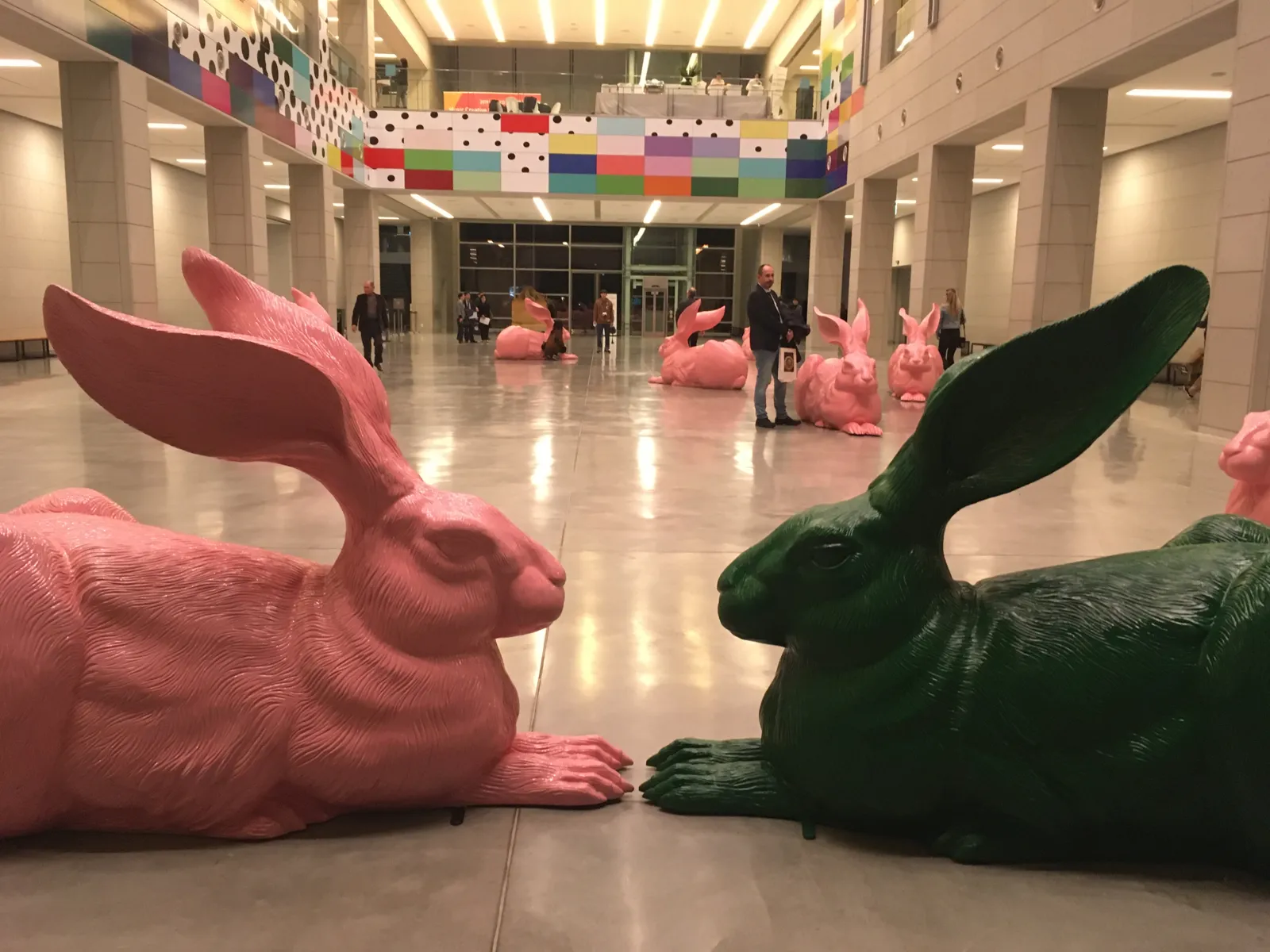Daegu 2019