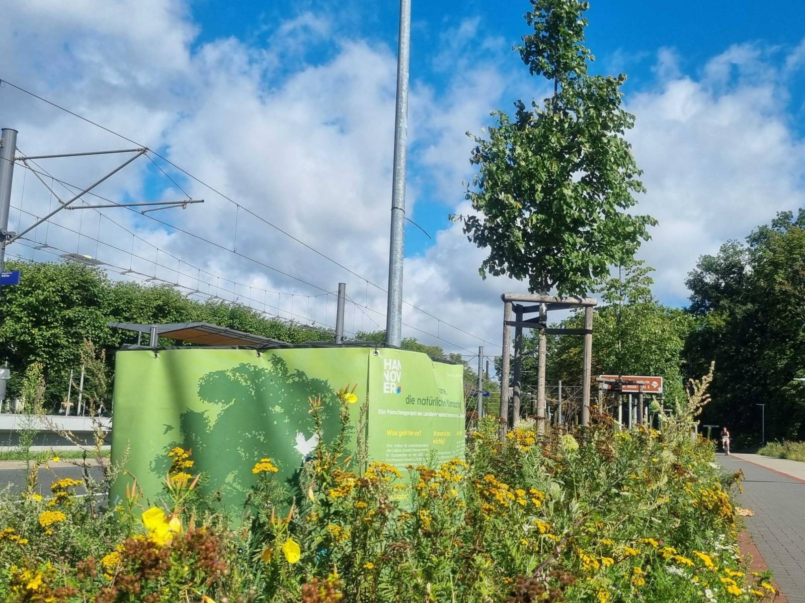 Ein Grünstrich an einer Straße. Er ist voll mit Blumen und Bäumen.