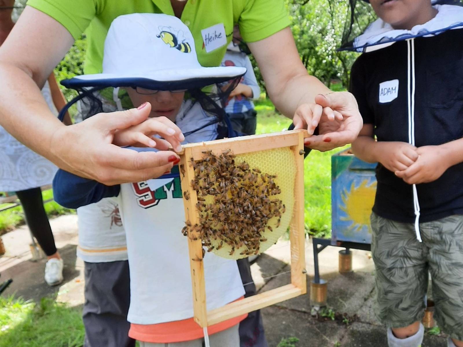 Eine Lehrkraft, die zwei Kindern die Arbeit mit Bienen erklärt.