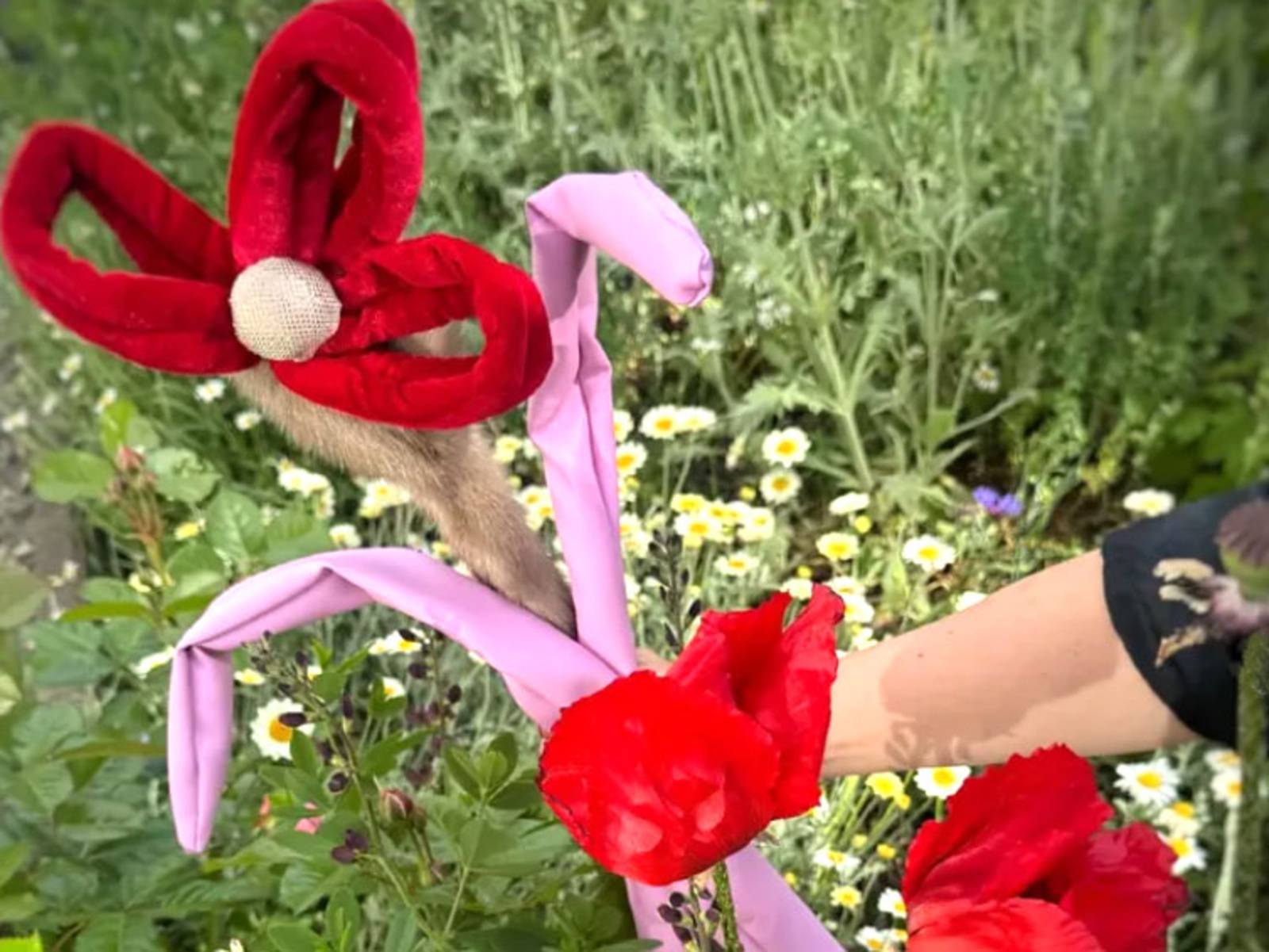 Villa Sprengel - Blumenlotterie