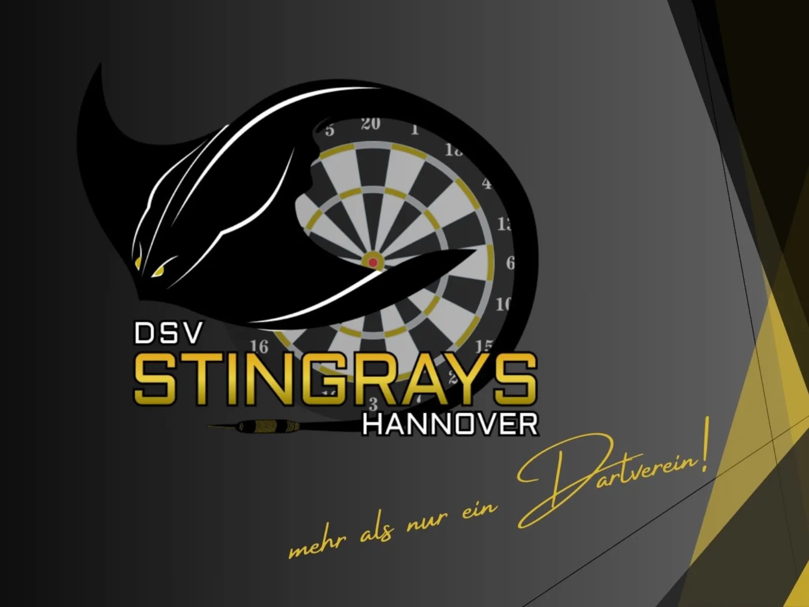 DSV Stingrays Hannover