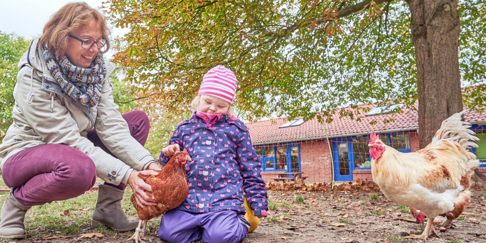 Ein Frau hält ein Huhn fest, damit eine Kind es streicheln kann, zwei weitere Hühner schauen zu