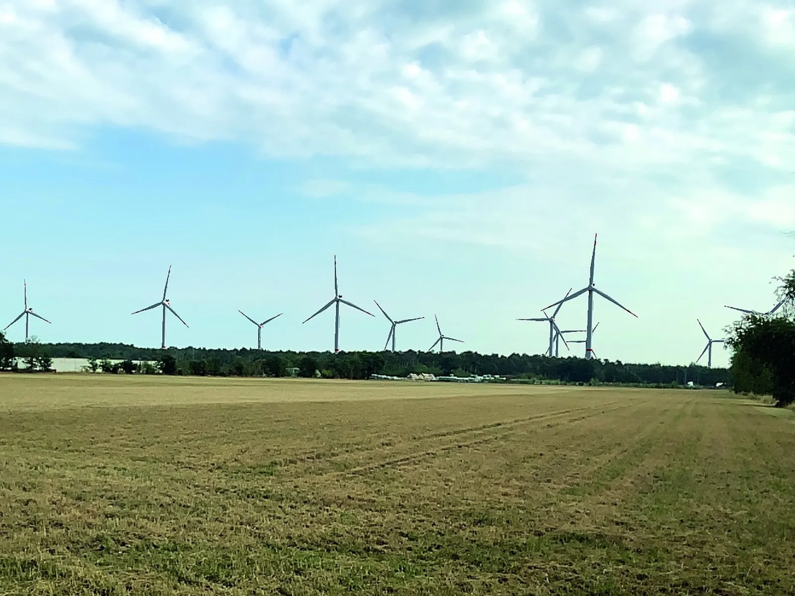 Windr&auml;der in einer Wald- und Wiesenlandschaft