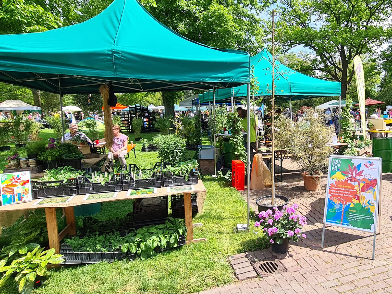 Stände bei einer Veranstaltung im Park.