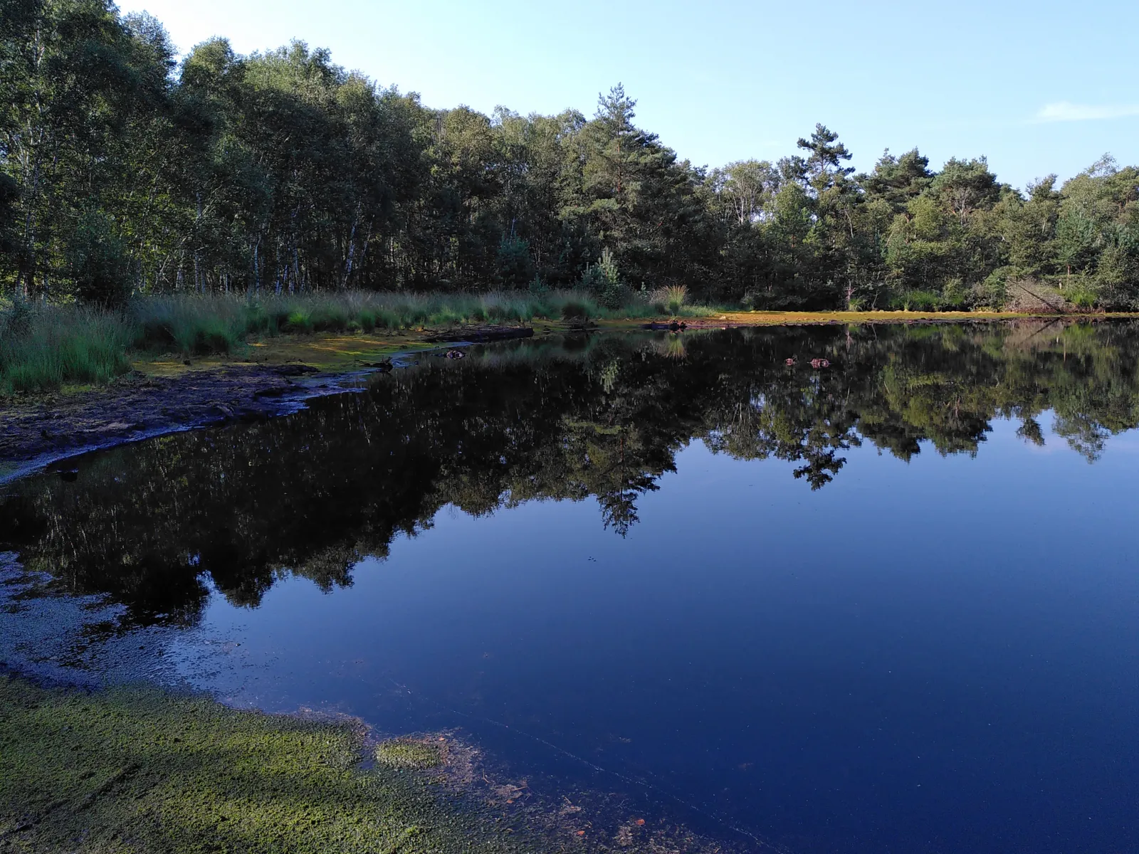 Wasserfl&auml;che