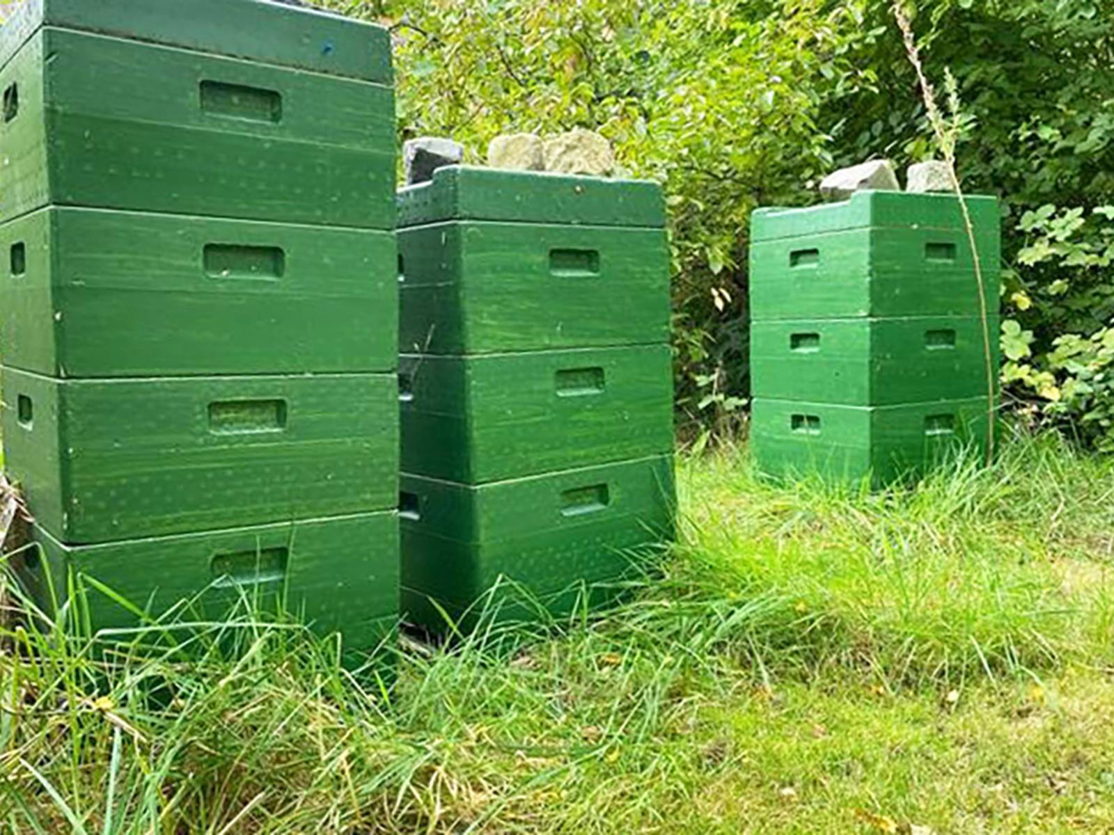 Bienenstöcke.