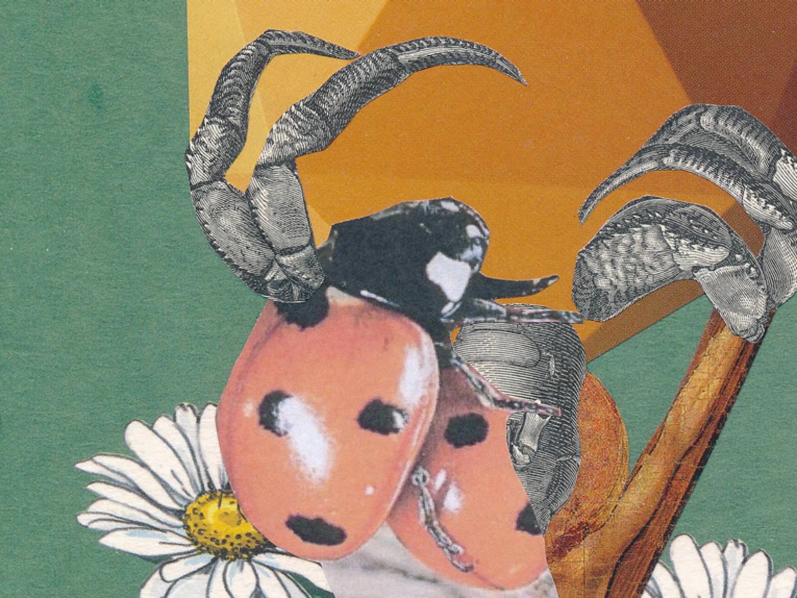Kunstcollage mit Marienkäfer, Blumen und Krabben