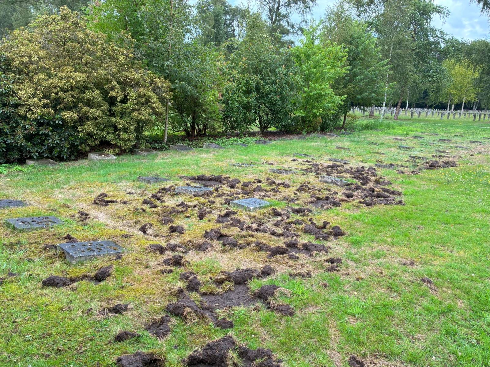 Ein verwüstetes Friedhofsfeld.