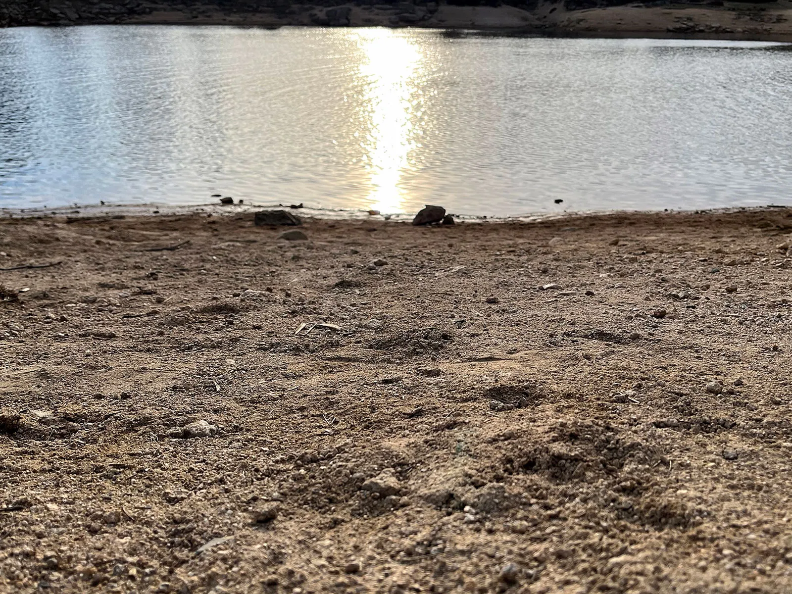 Ufer eines teilweise ausgetrockneten Gewässers.