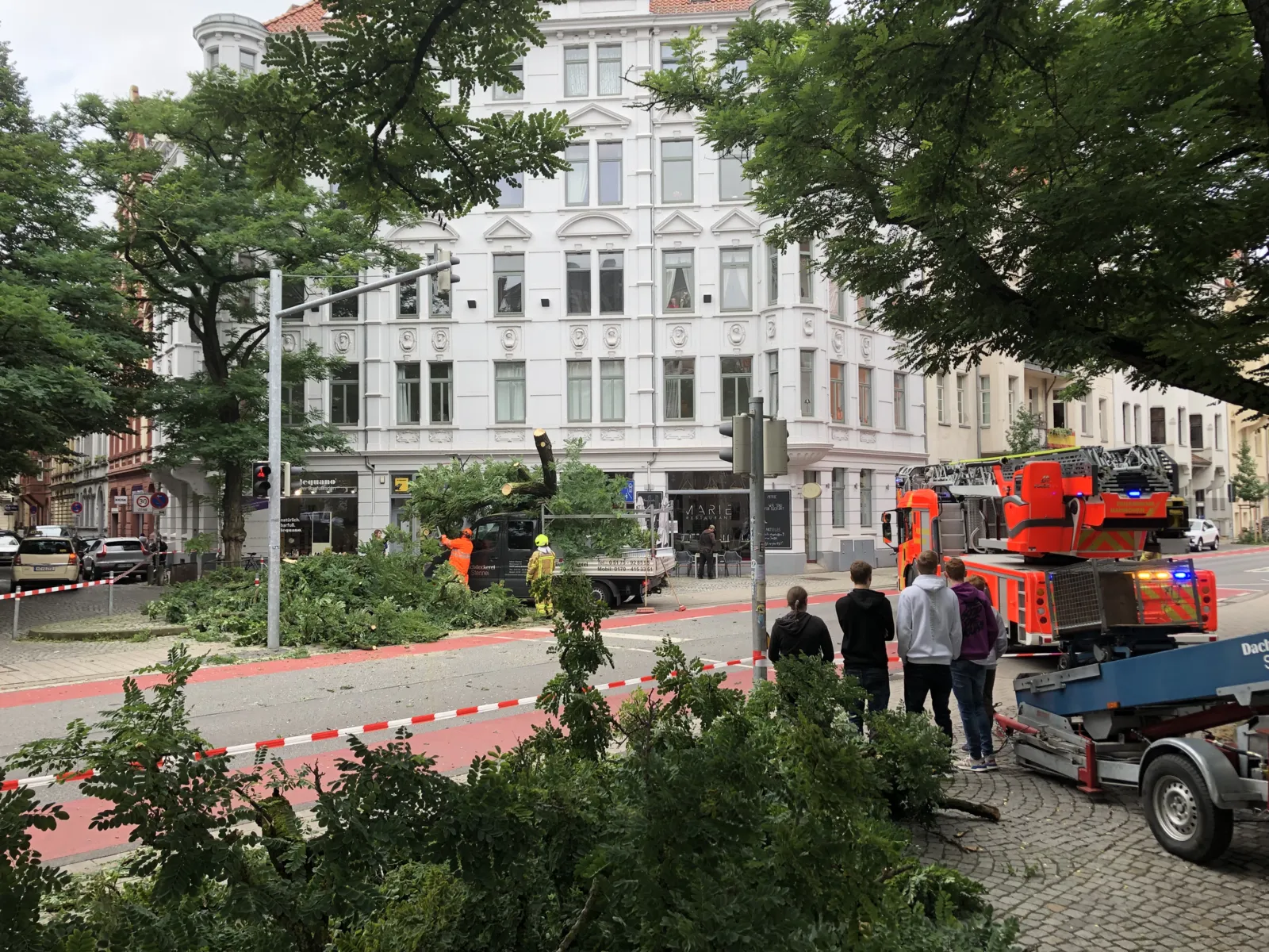 Ein Baum liegt auch einem Auto.