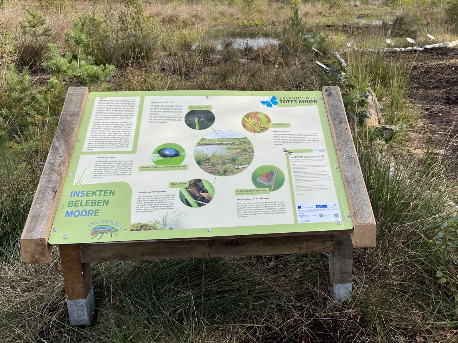 Informationstafel am Rand eines Weges