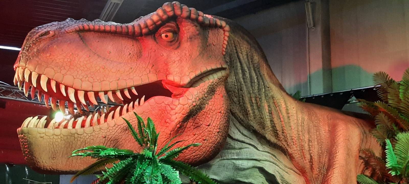 Zu sehen ist ein nachgebauter lebensgro&szlig;er T-Rex-Kopf.