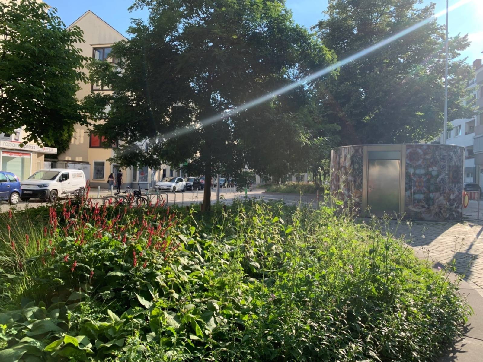 Ein Beet mit hochwachsenden Grünpflanzen und Blumen und Bäumen auf einem Platz vor Häusern und einer Straße.