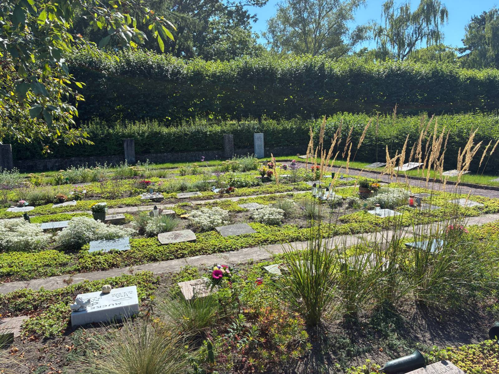 Eine Gräberfläche mit viel Grün.