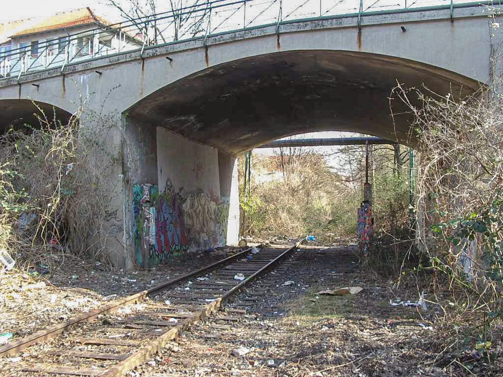 Verlassene Gleise, die unter einer Brücke durchführen. Drumherum Natur.