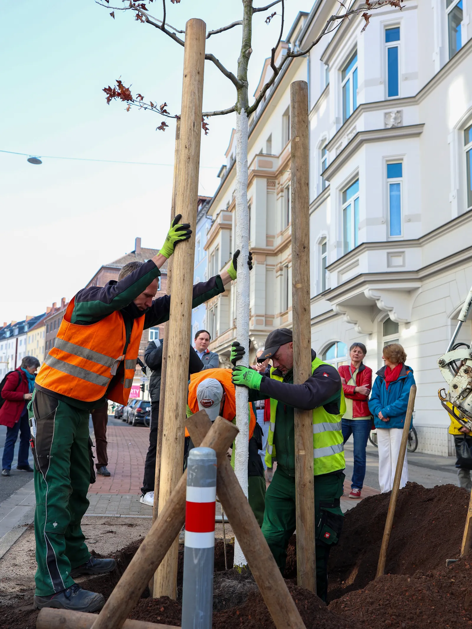 Zwei M&auml;nner stehen um zwei senkrechte Holzstangen um einen kahlen Baum in einer Erdkuhle, hinter ihnen H&auml;userfronten und Menschen, die zusehen.