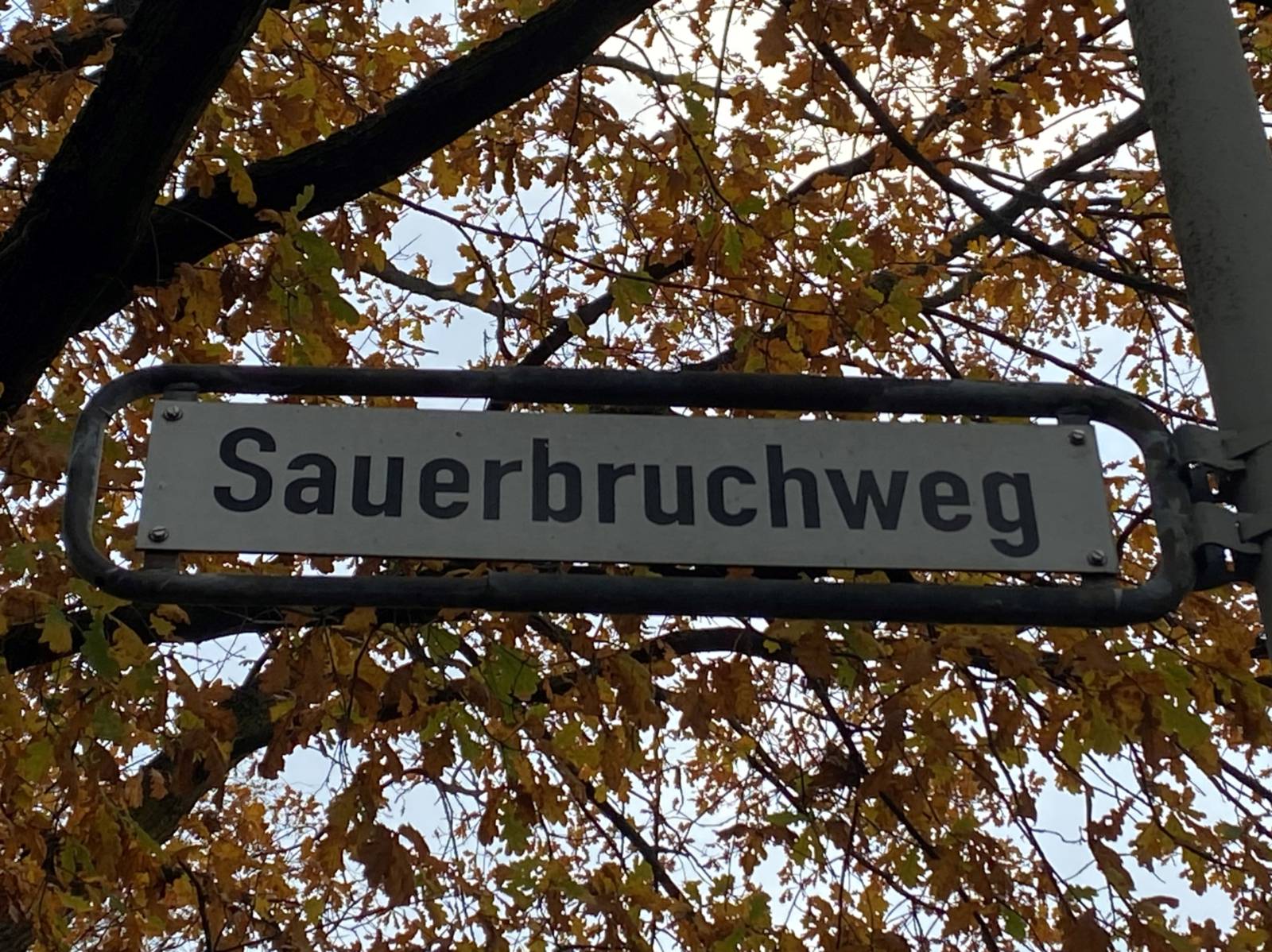 Auf dem Bild ist ein Straßenschild mit dem Namen "Sauerbruchweg". Im Hintergrund ist ein herbstlich besetzter Baum zu sehen.
