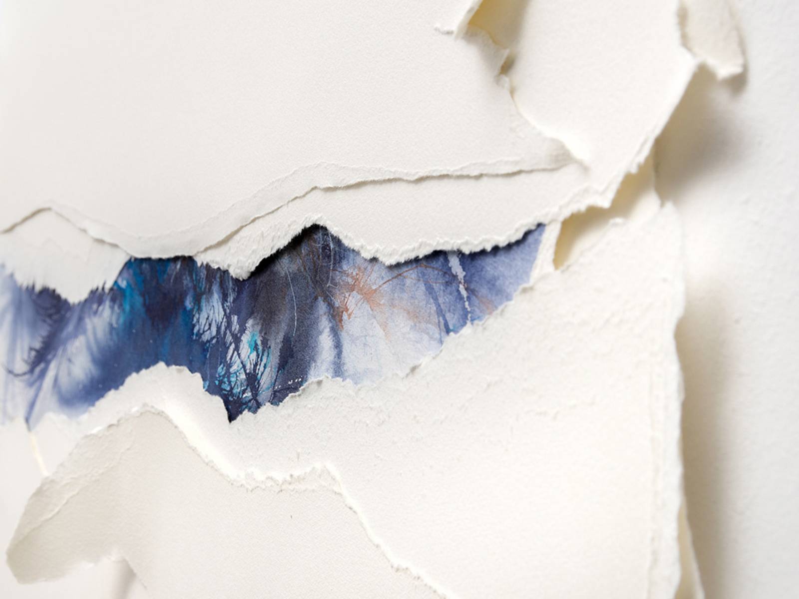 Kunstwerk: Abgerissener Karton gibt den Blick auf eine farbig gestaltete Leinwand darunter frei.