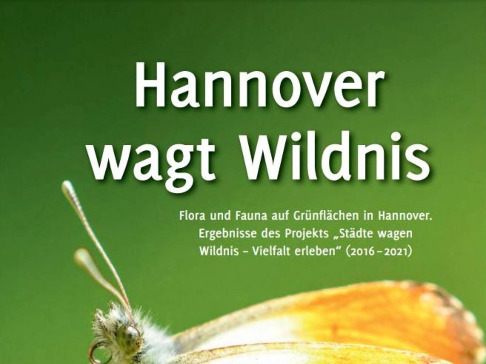 Titelbild einer Publikation. Darauf steht "Hannover wagt Wildnis".