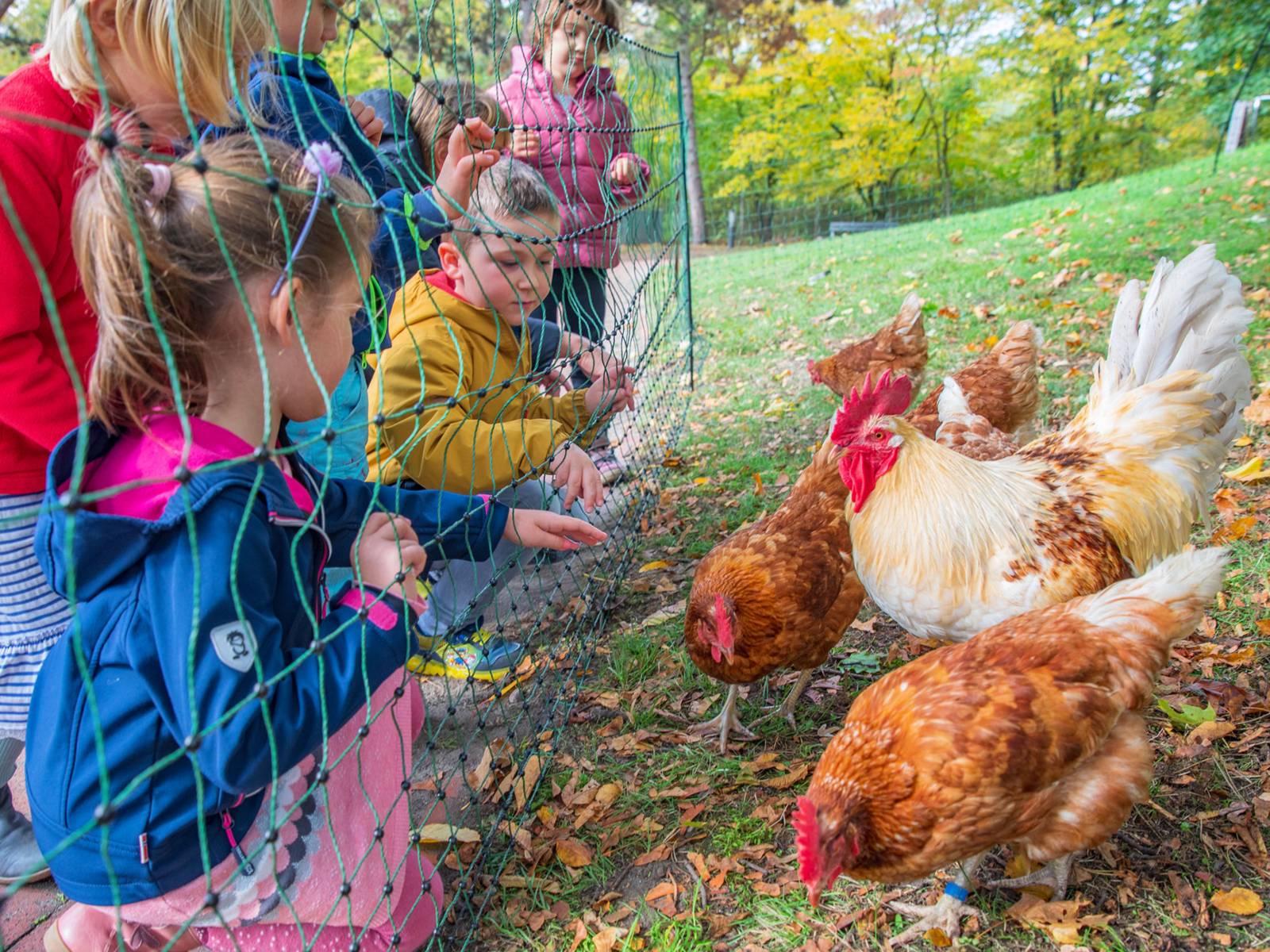 Kita-Kinder vor dem nagelneuen Hühnerhaus