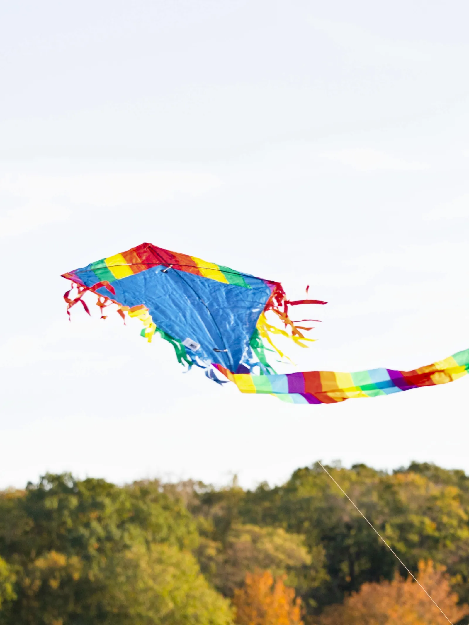Ein Drachen fliegt an einer Schnur.