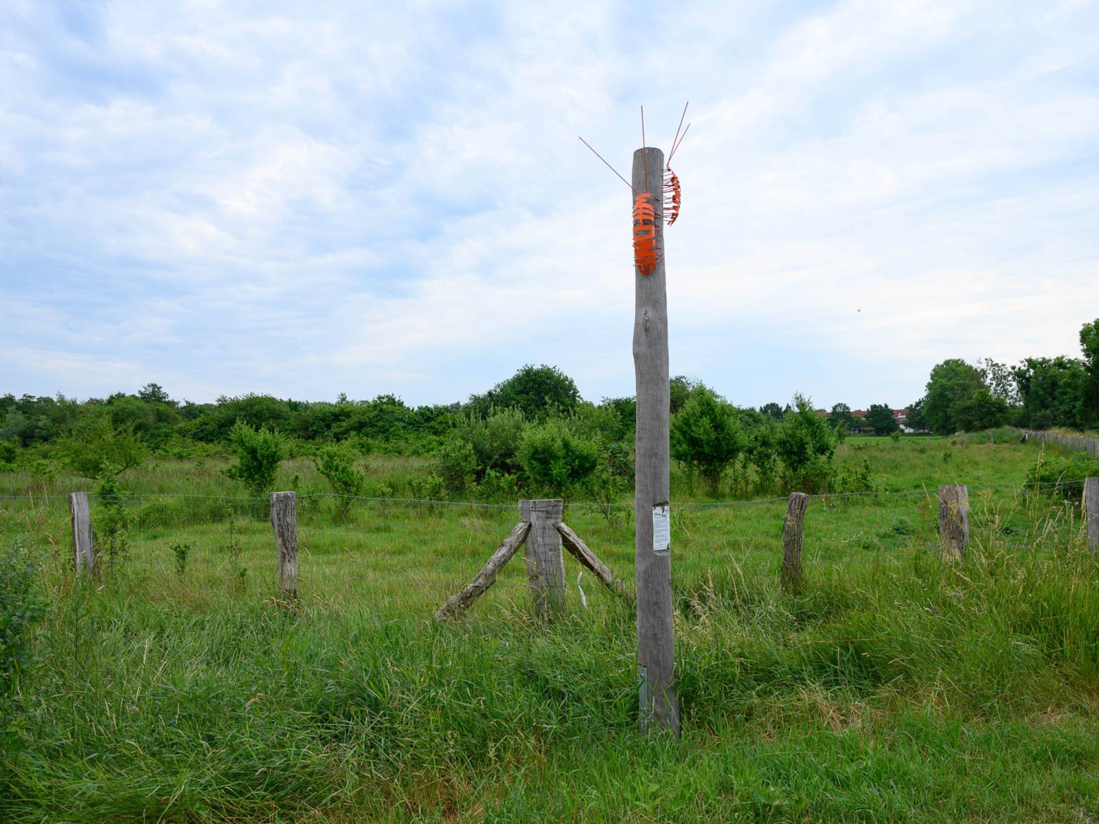 Eine Stele mit einem orangefarbenen Insekten oben drauf.