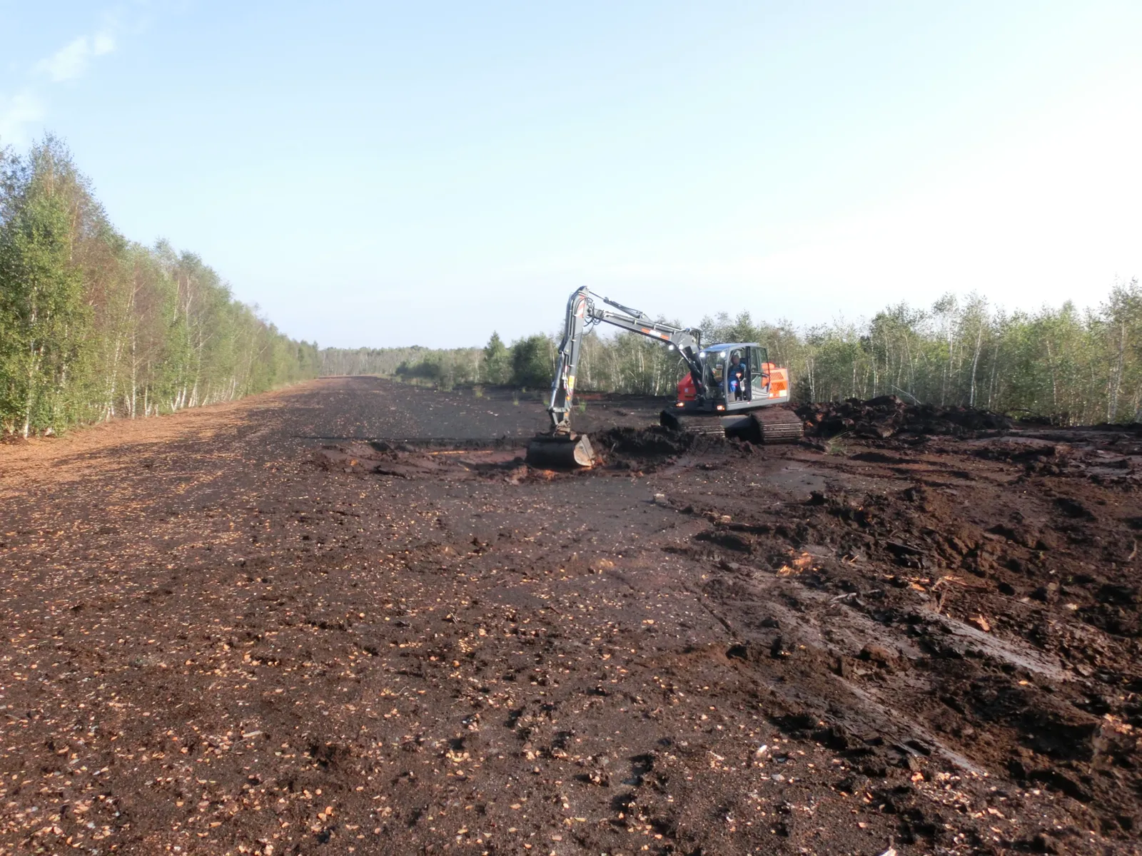 Bagger, der im Moor Senken aushebt