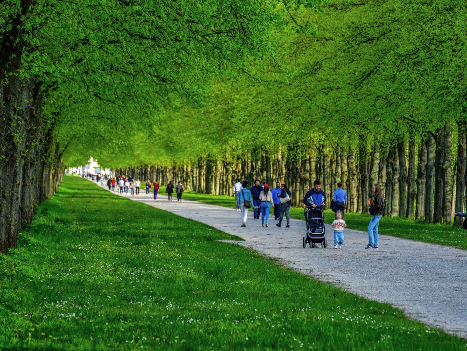 Grüne Herrenhäuser Allee