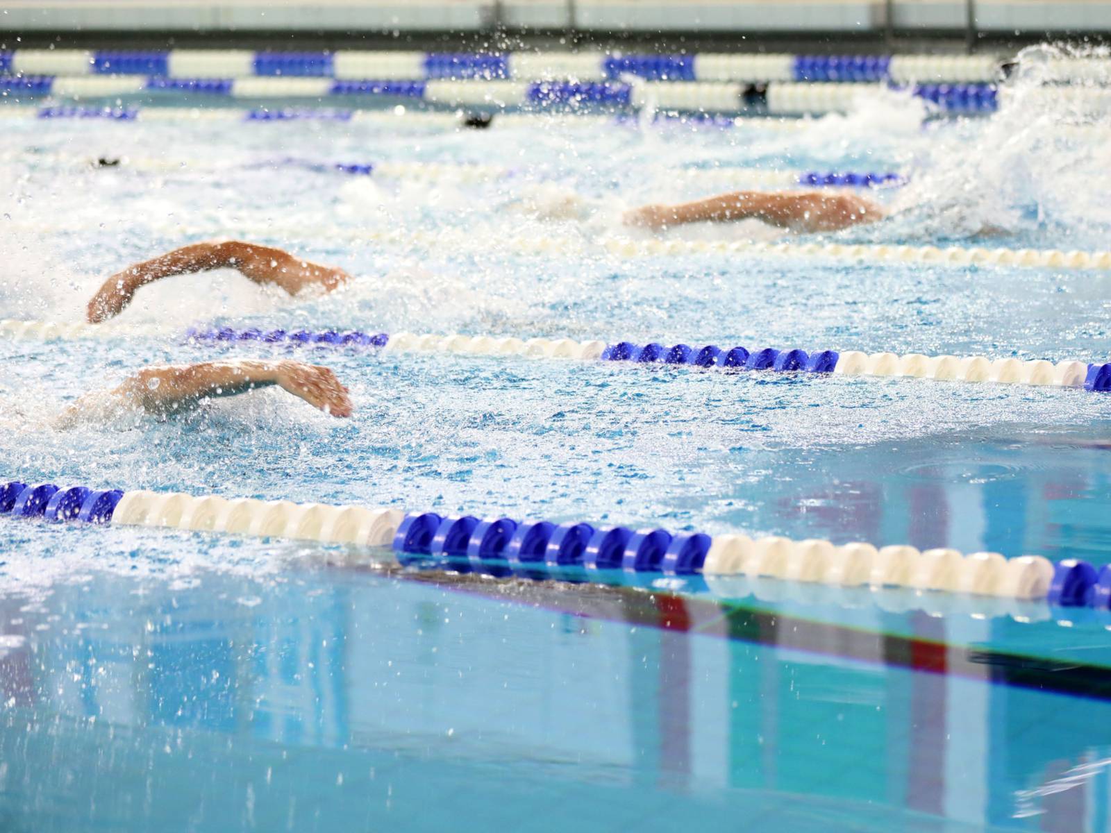 Markierte Schwimmbahnen und Schwimmer in einem Hallenbad