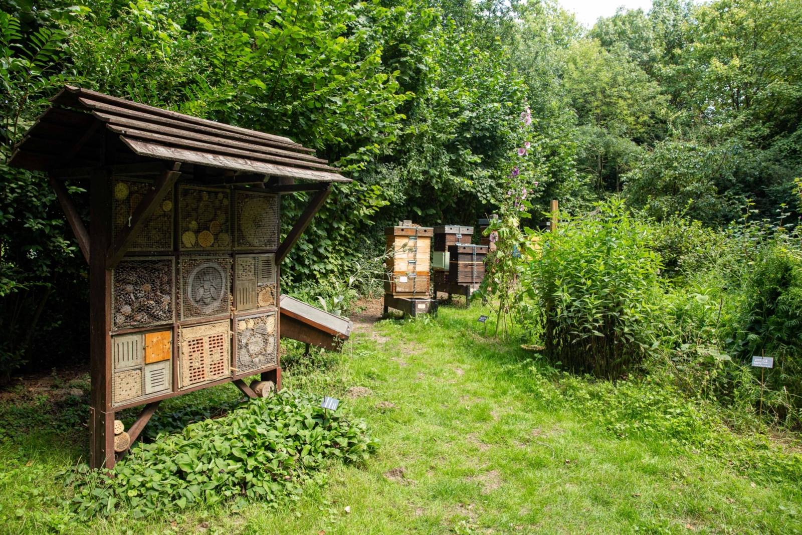 bee garden with the insect hotel