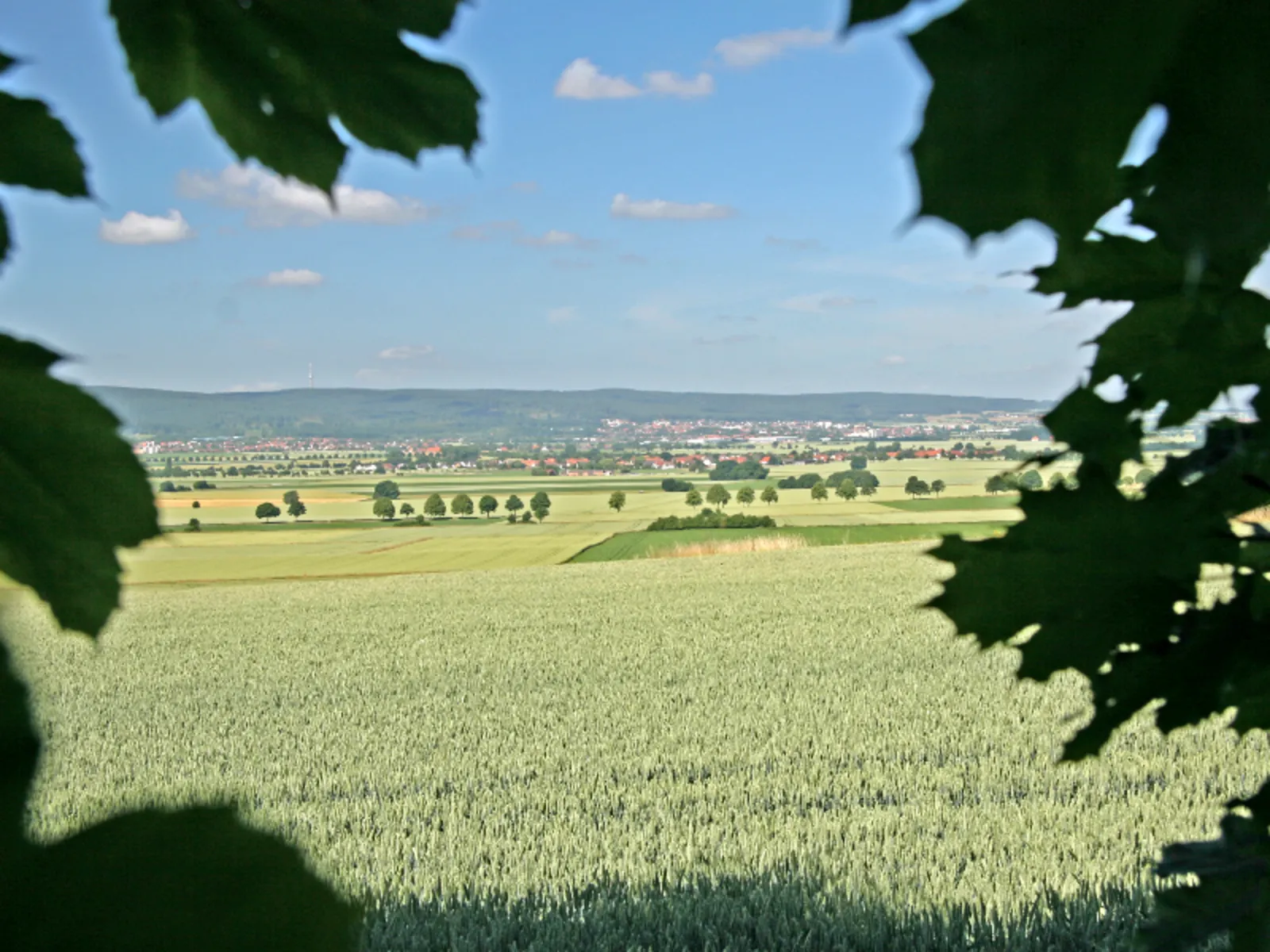 An den Rändern ist der Blick auf den Deister durch Blätter versperrt, die sehr dunkel wirken, weil sich die Kamera auf den hellen Hintergrund (blauer Himmel, grüne Felder, Erhebungen des Deisters) eingestellt hat.
