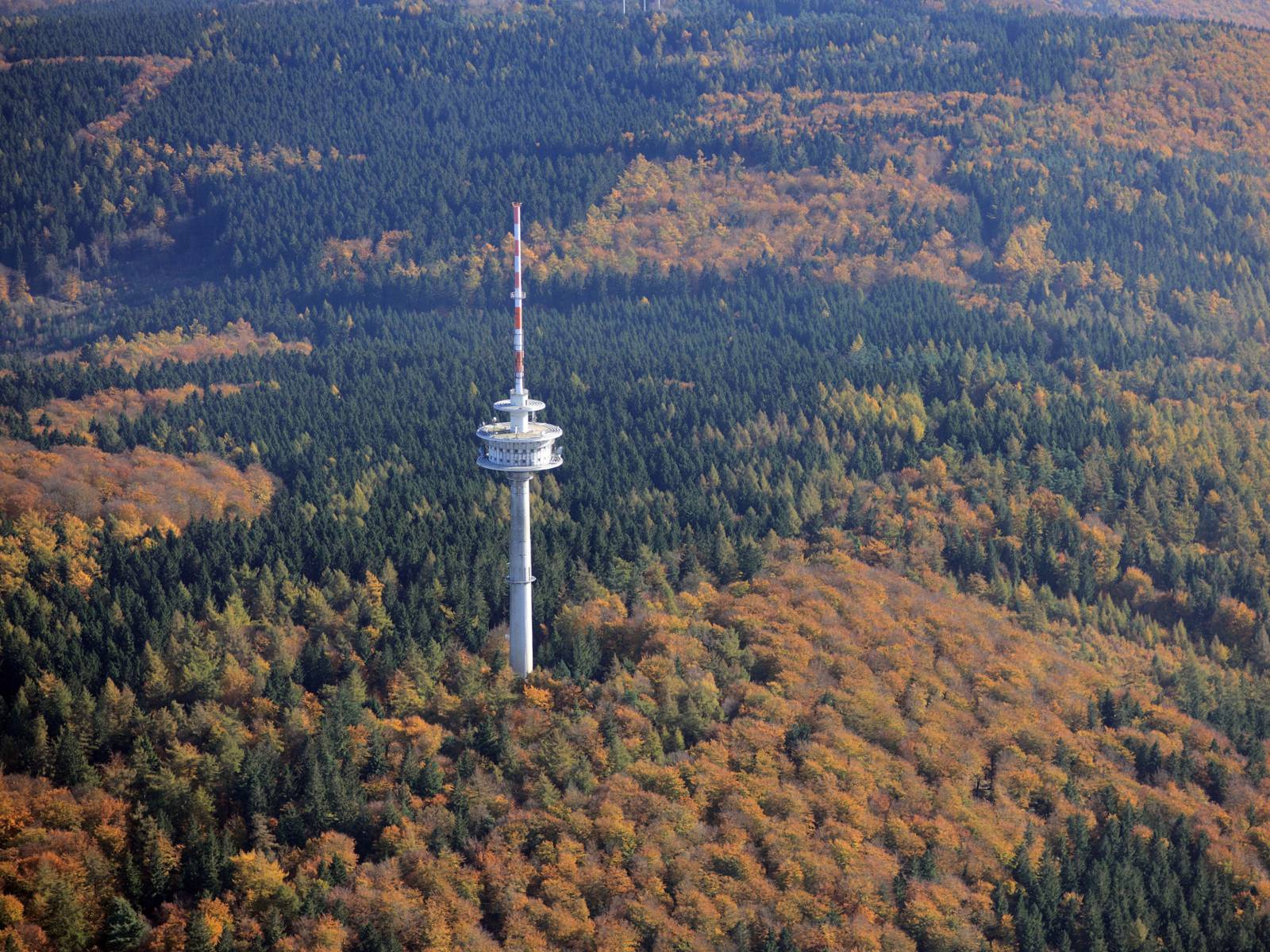 Luftbild eines Höhenzuges mit einem Laub-/Nadelwald im Herbst und einem Funkturm