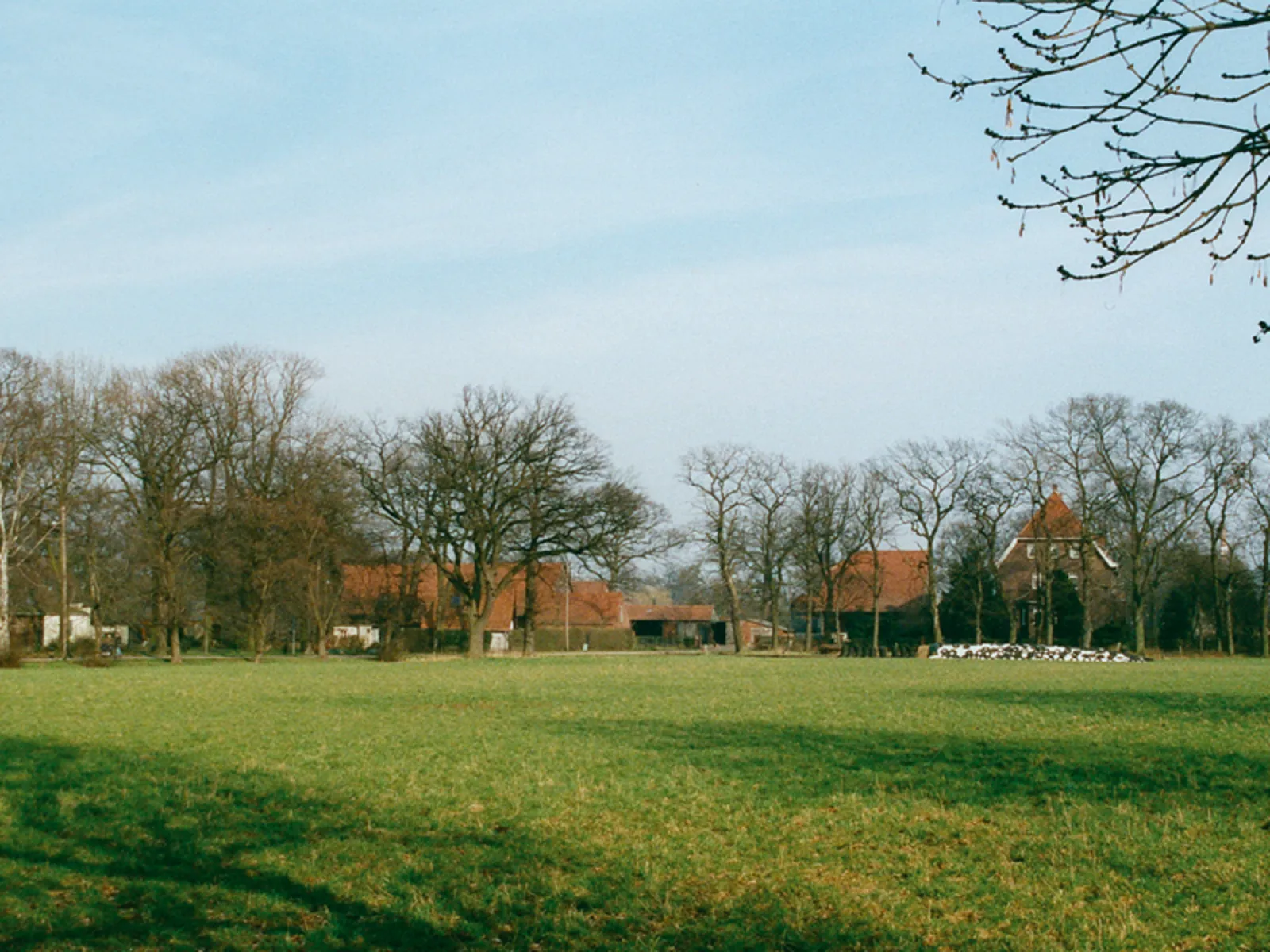Blick über ein Feld in Richtung Bauernhöfe