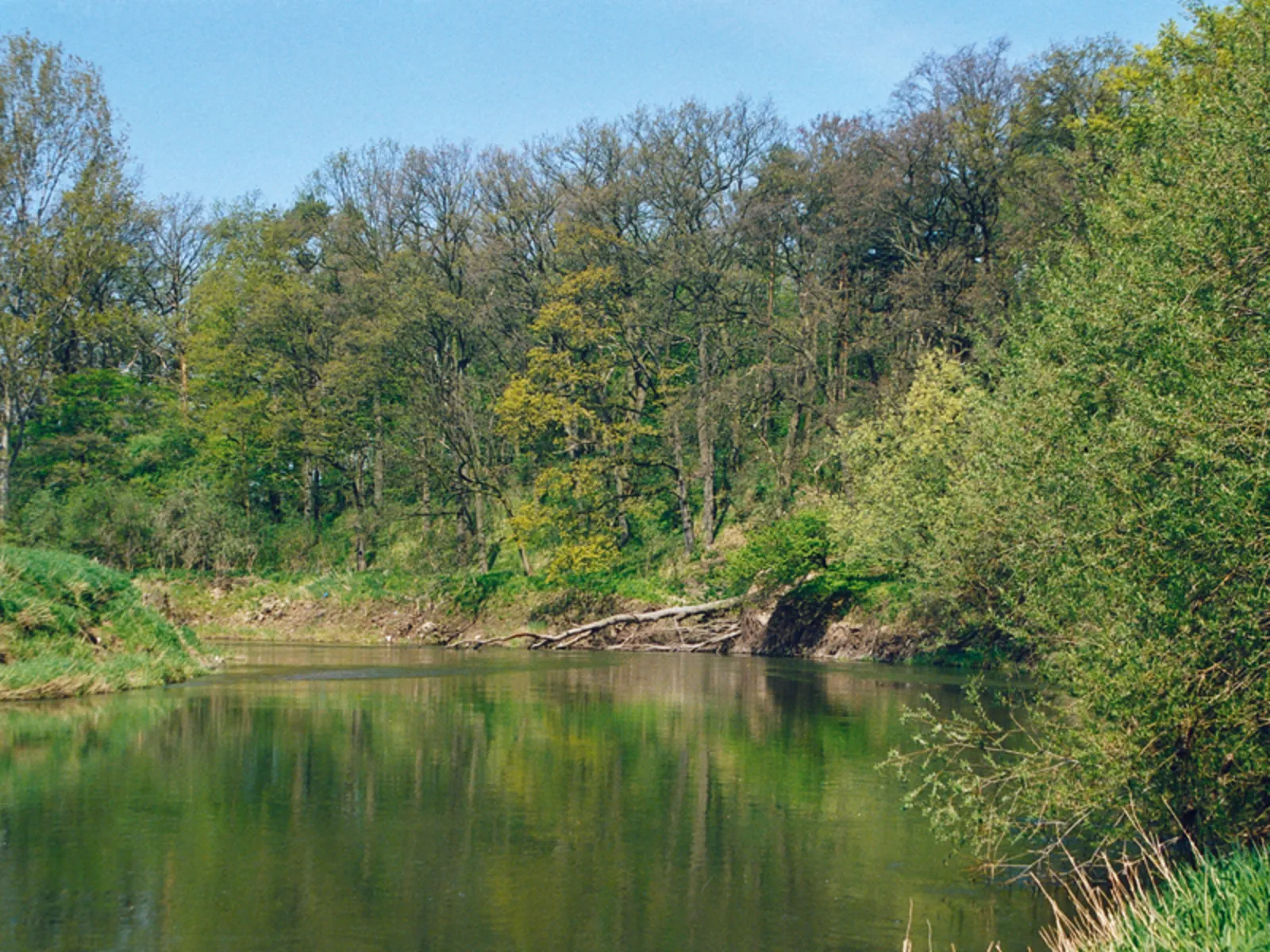 Wasser mit Steilhang