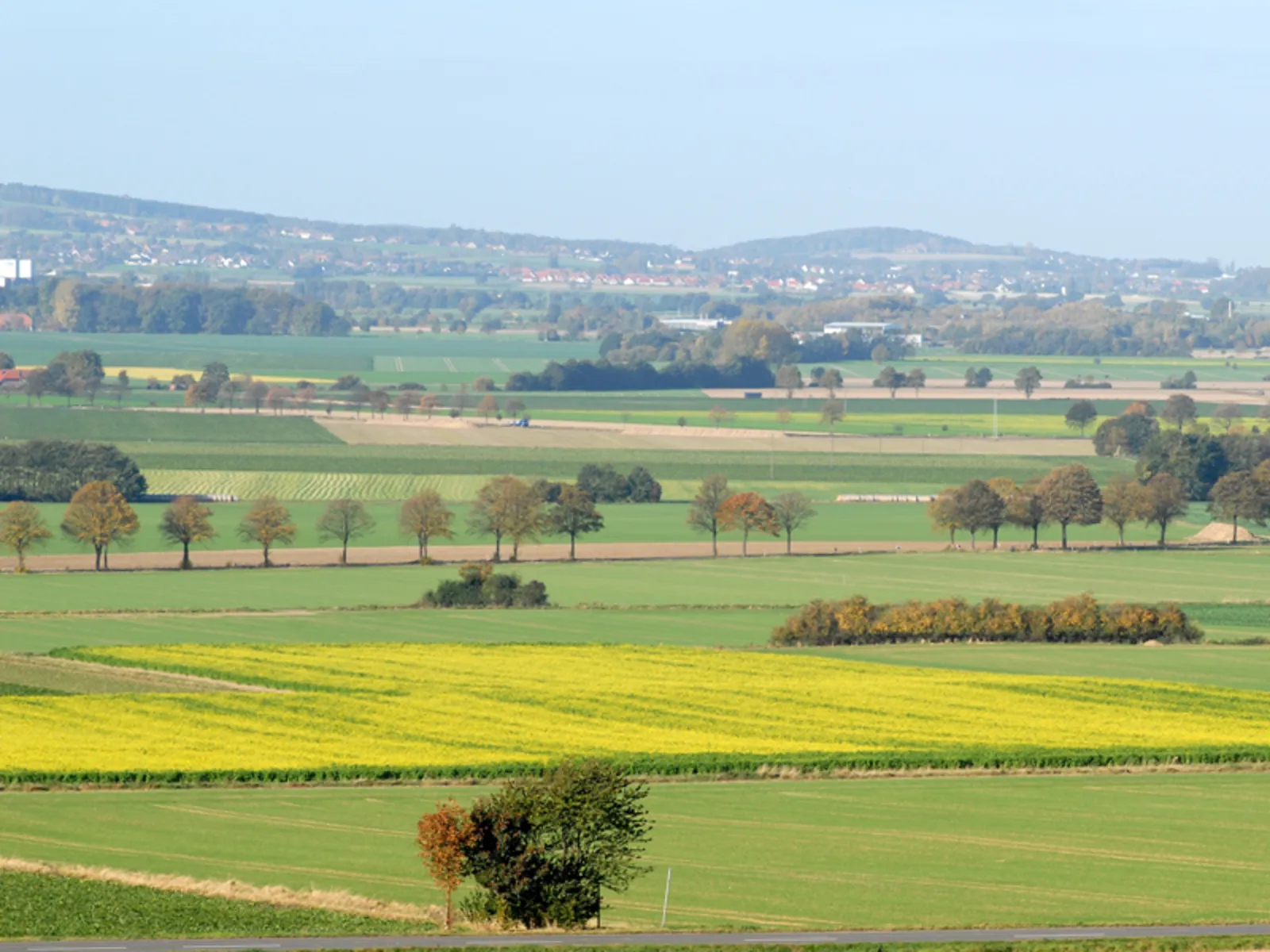Rapsfelder, im Hintergrund eine Hügelkette