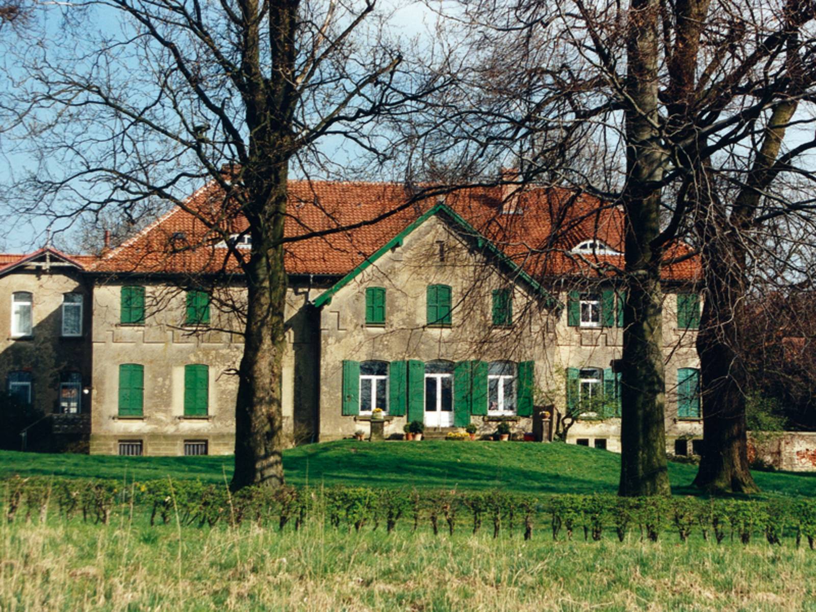Gutshaus mit grünen Fensterläden, im Vordergrund Wiese, alte unbelaubte Bäume und ein kleiner Hügel, bei blauem Himmel und Sonnenschein