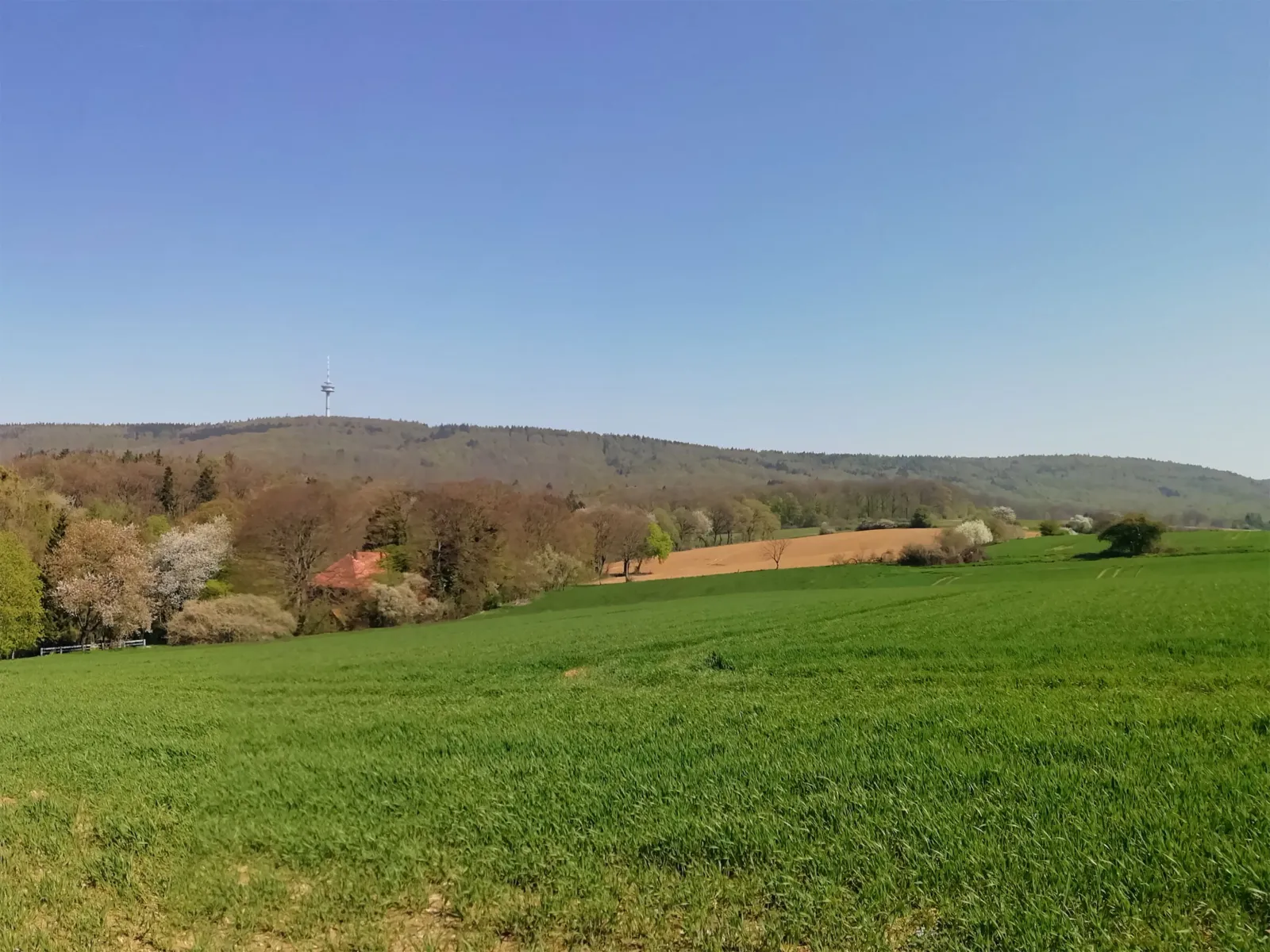 Grüne und hügelige Landschaft im Frühling