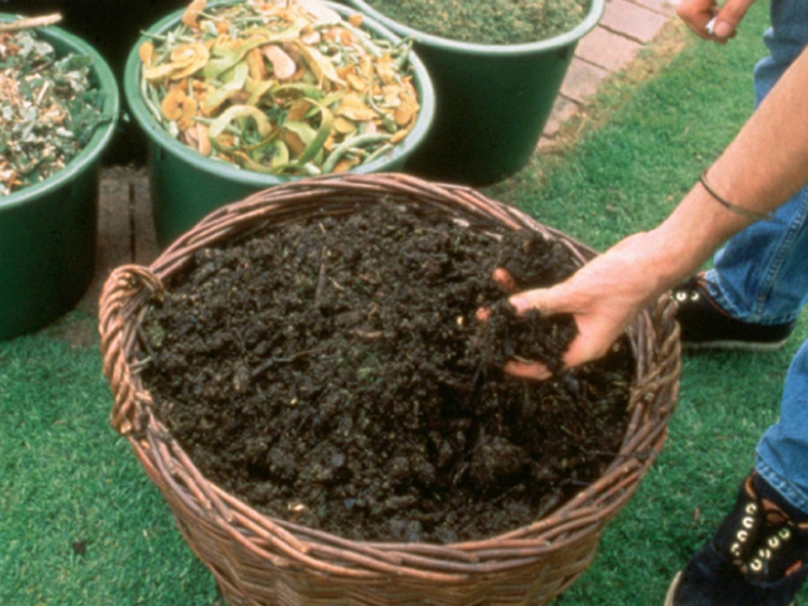 Grünabfälle und Kompost in separaten Behältern