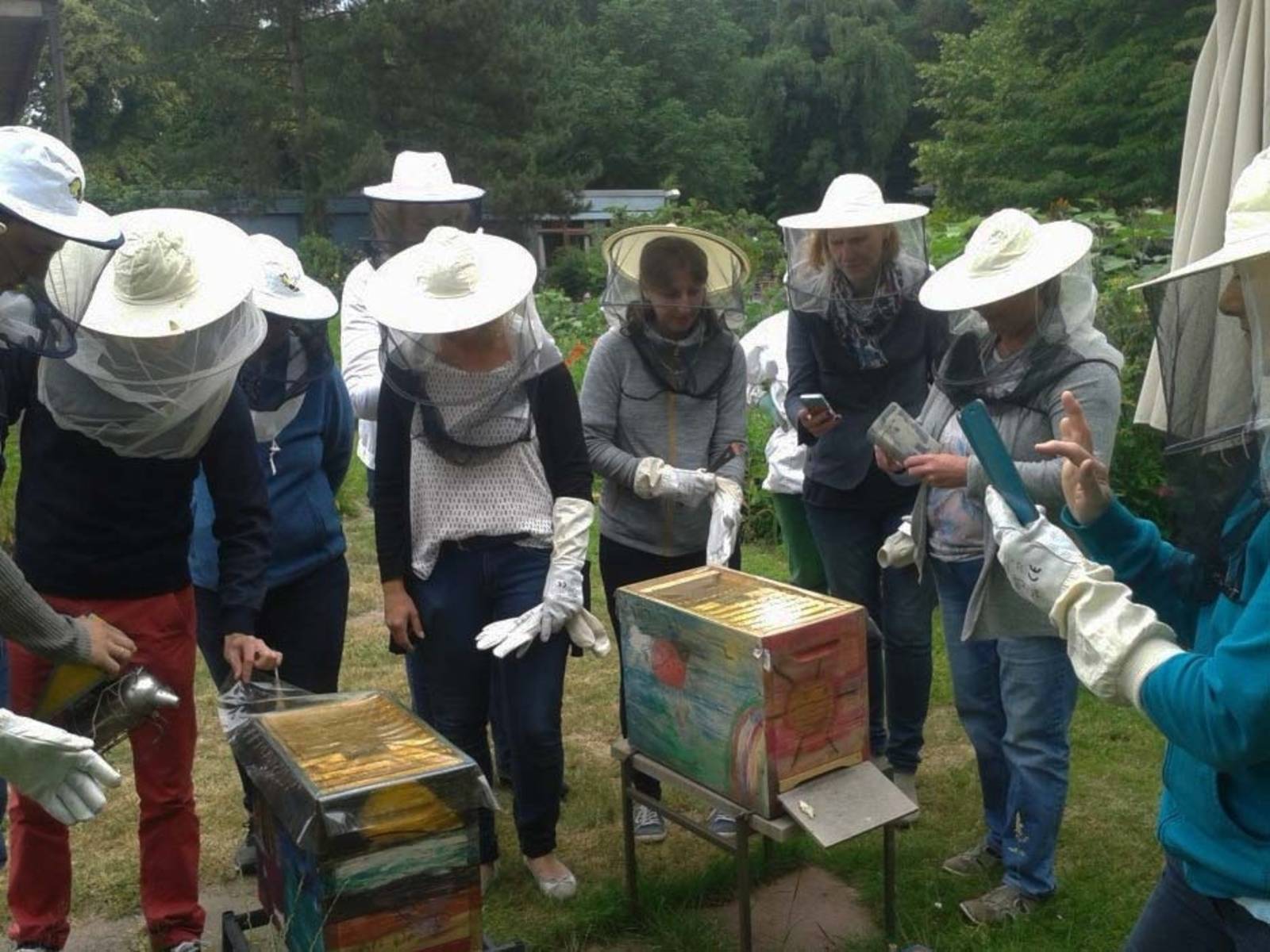 Lehrkräfte an Bienenkästen. 