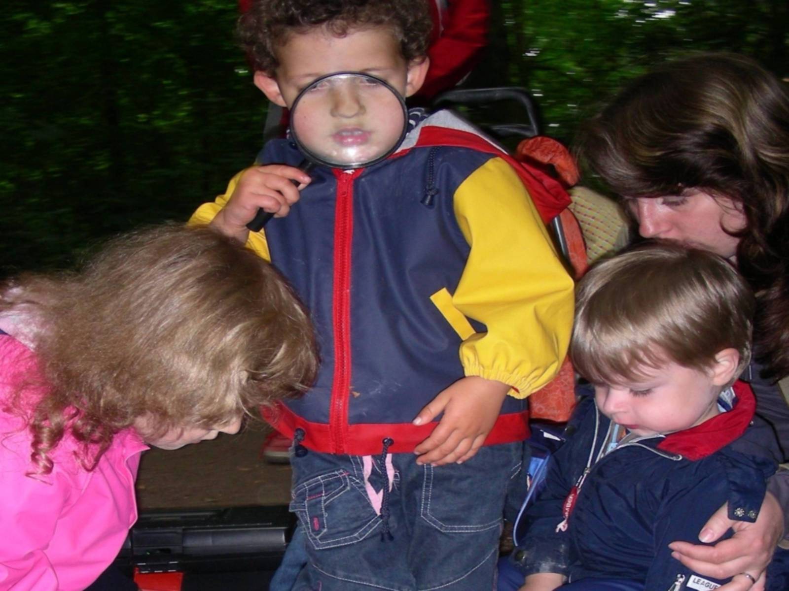 Mehrere kleine Kinder, die mit Lupen und anderen Hilfsmitteln den Waldboden erkunden 